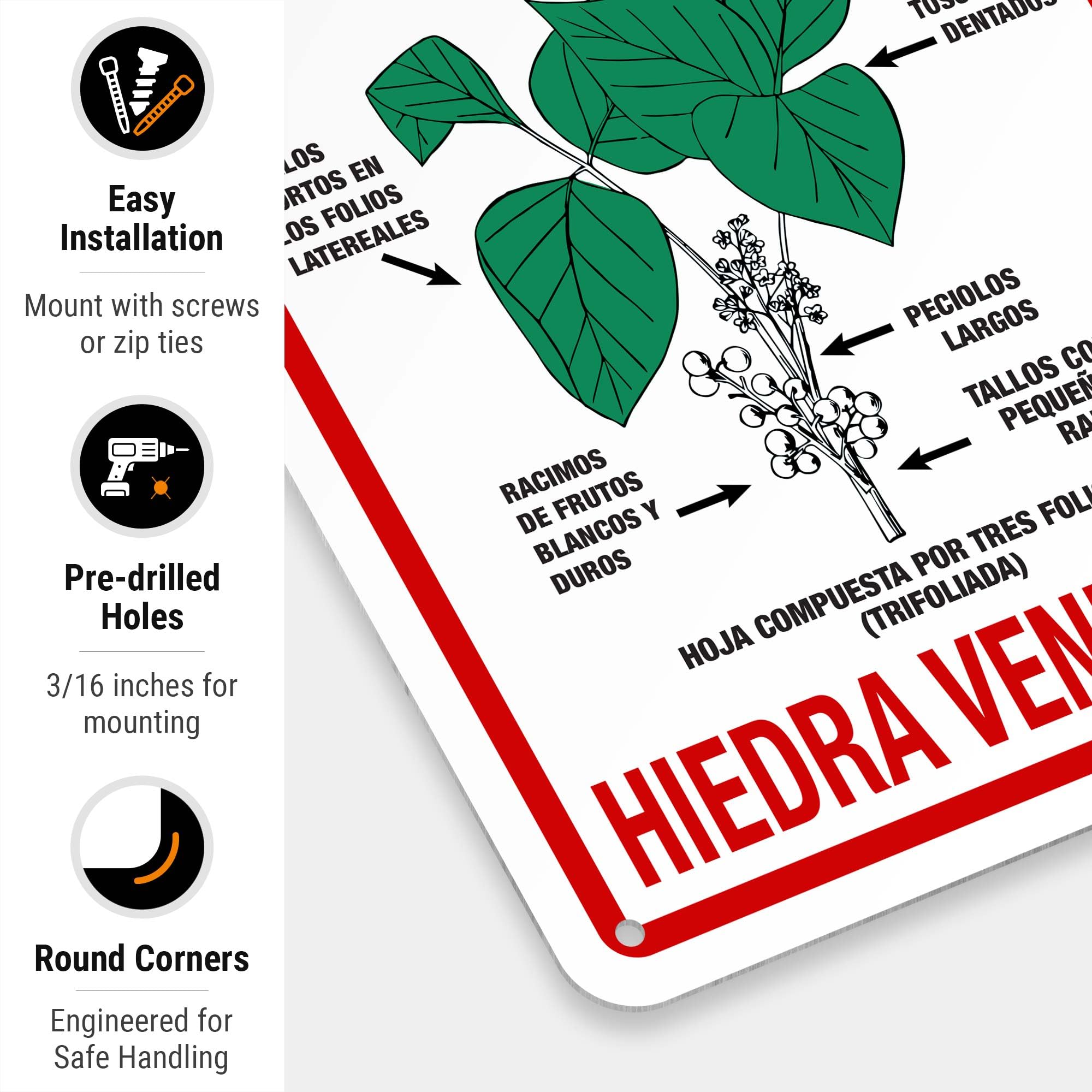 Poison Ivy Prevention Poster In Spanish Warning Poison Ivy Spanish