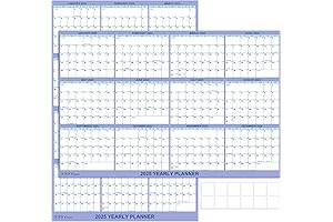 32" x 48" 2025 Wall Calendar: Plan Year Ahead with Dry Erase Monthly Laminated Calendar