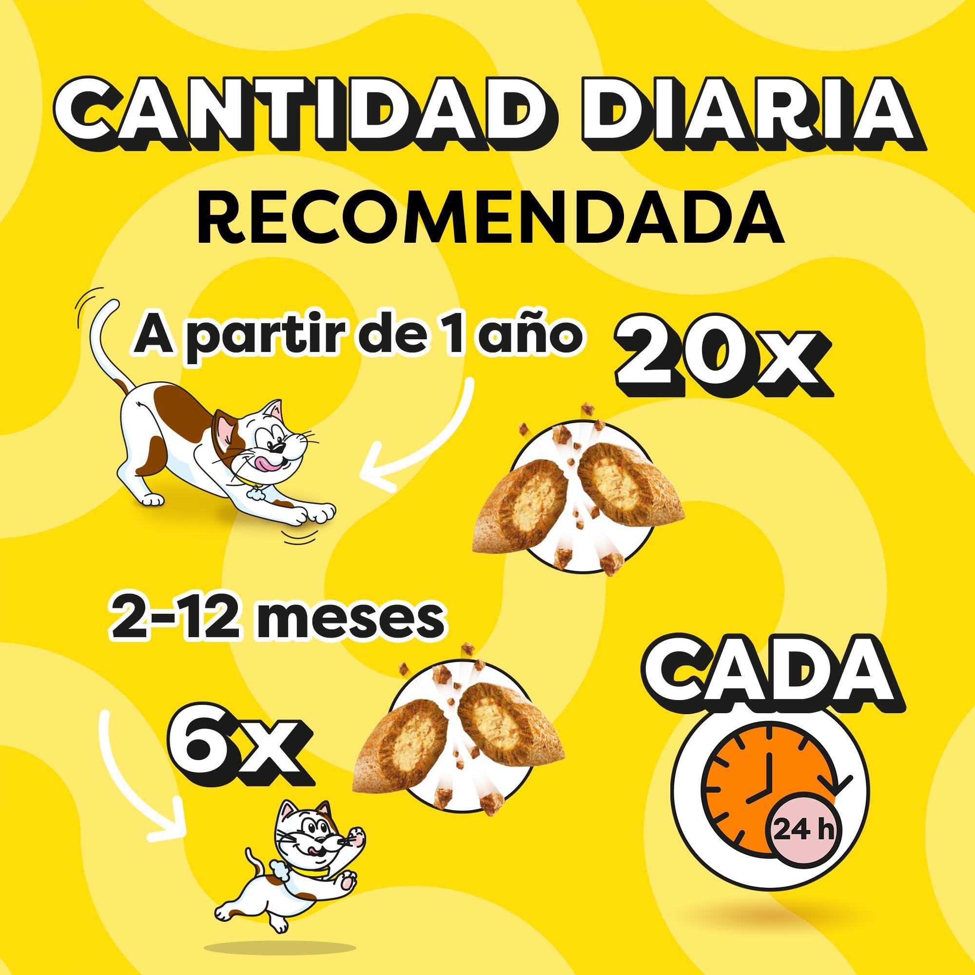 Mars Catisfactions Premios para Gatos, Sabor Salmón (Pack de 6 x 60g)