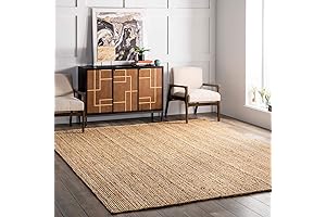 nuLOOM 6x9 Rigo Jute Hand Woven Rug for Home Decor