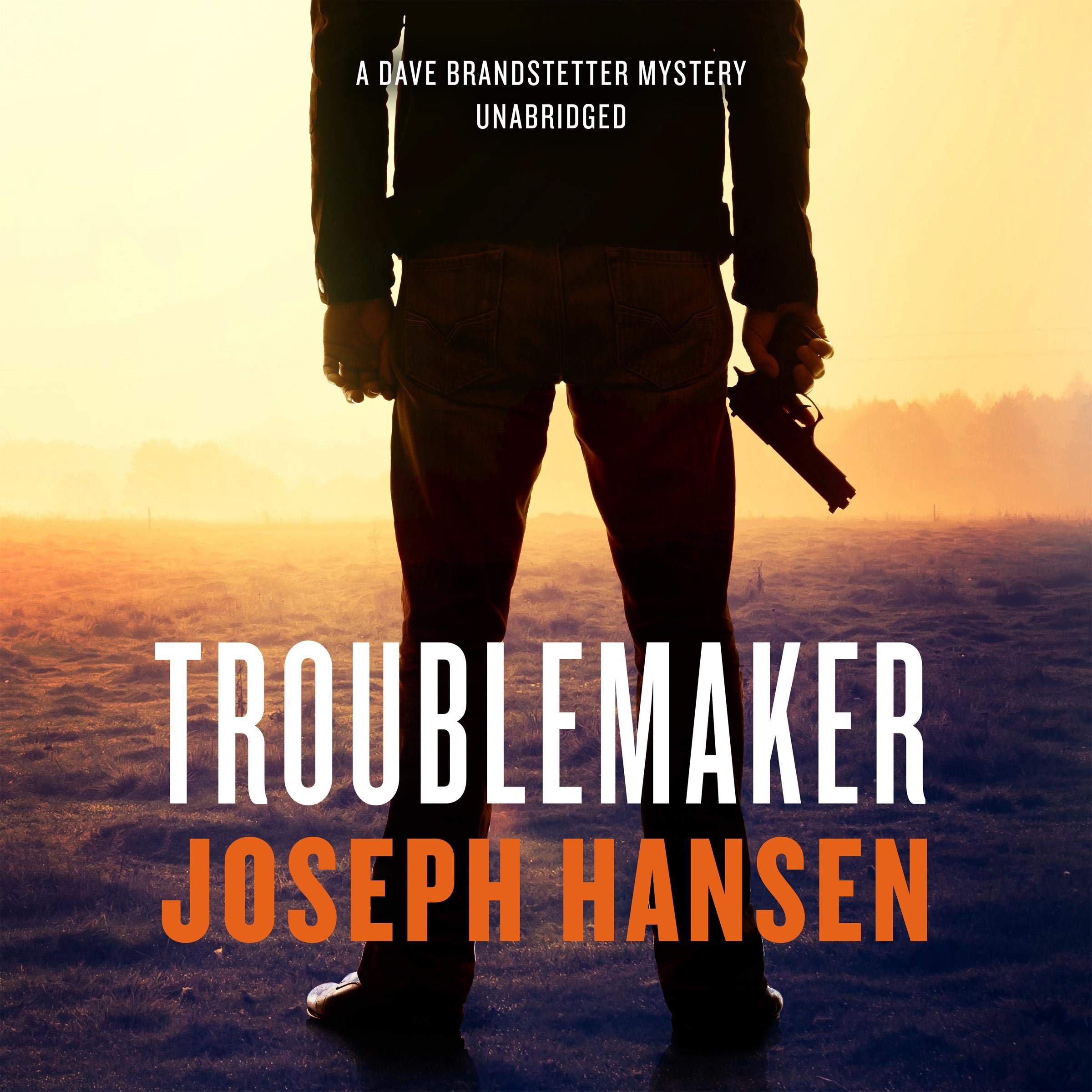 Troublemaker: The Dave Brandstetter Mysteries, Book 3