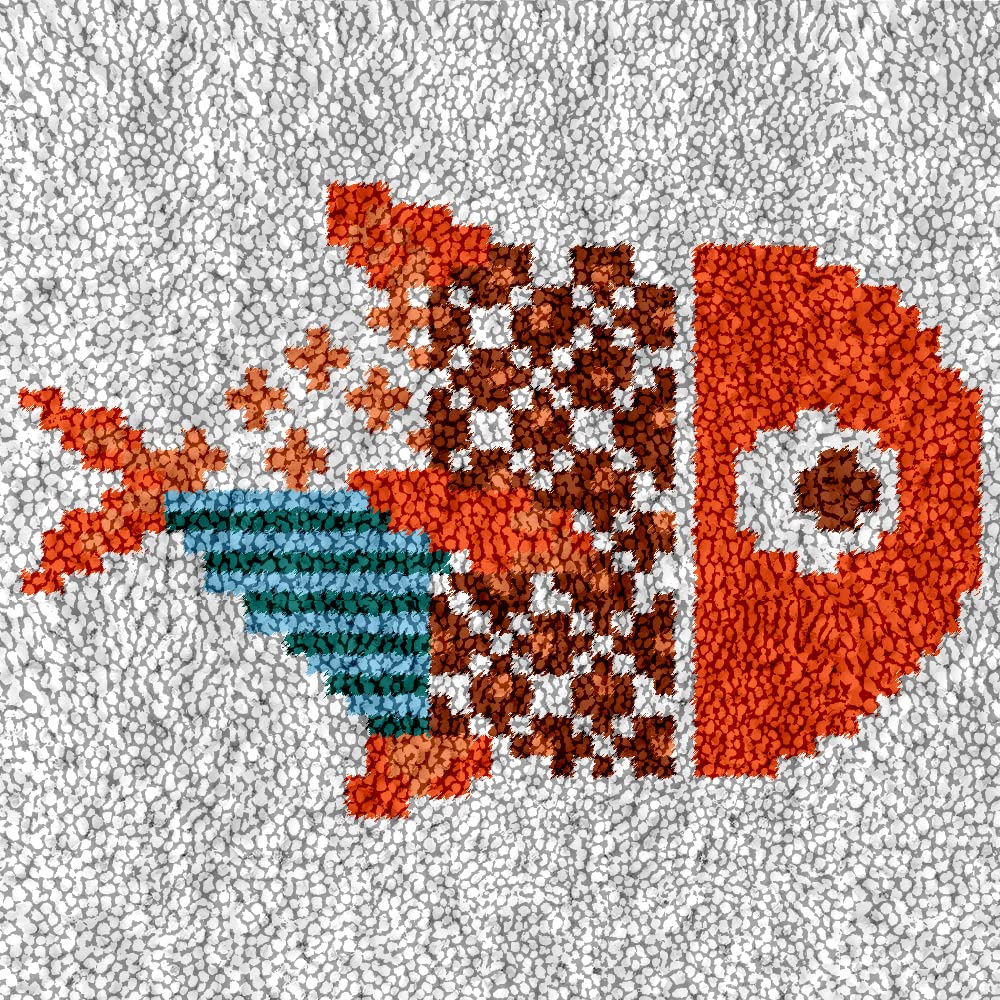 Latch Hook Kit 12x12 Inch - DIY Rug Making With Pre-Printed Canvas & Yarn