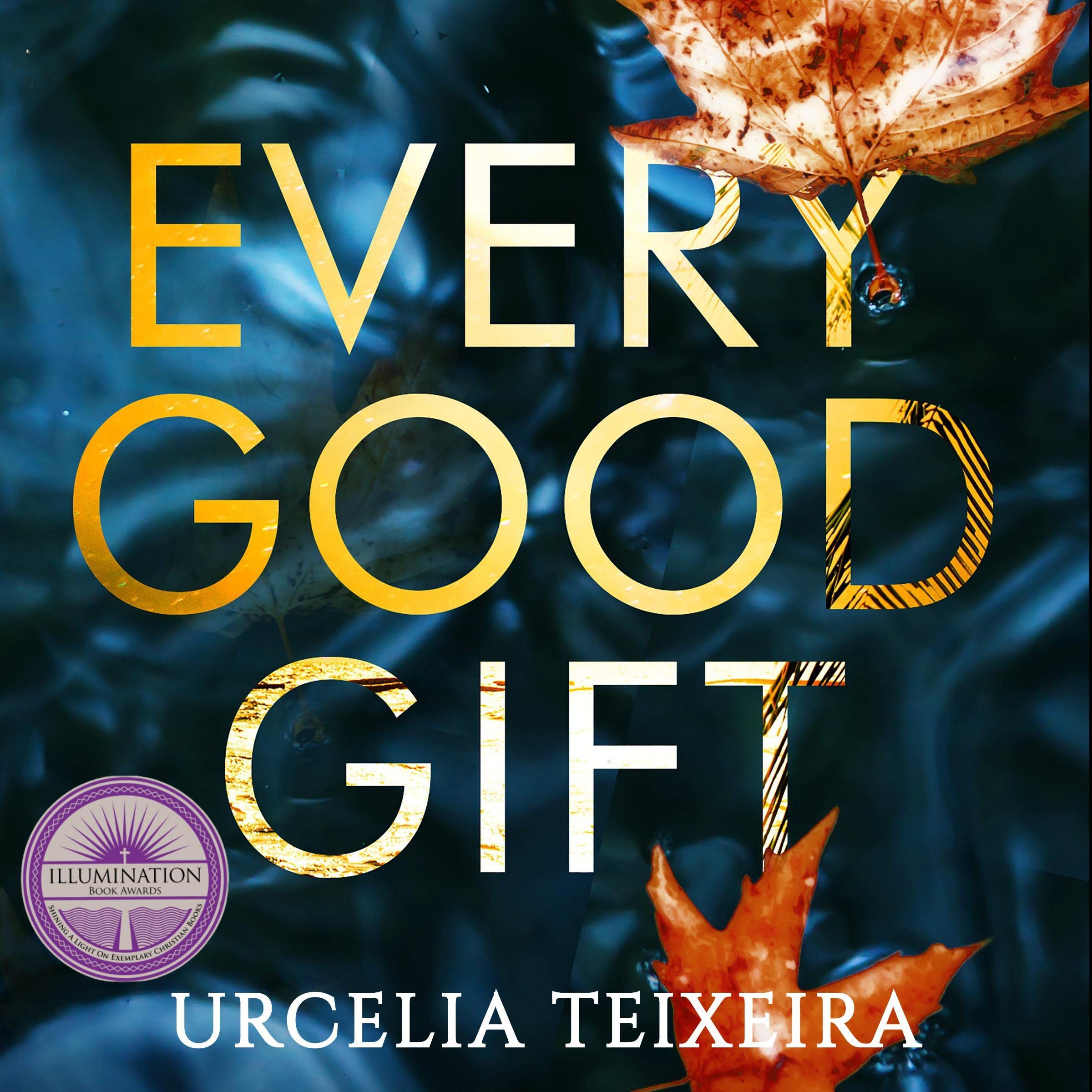 Cover art for Every Good Gift