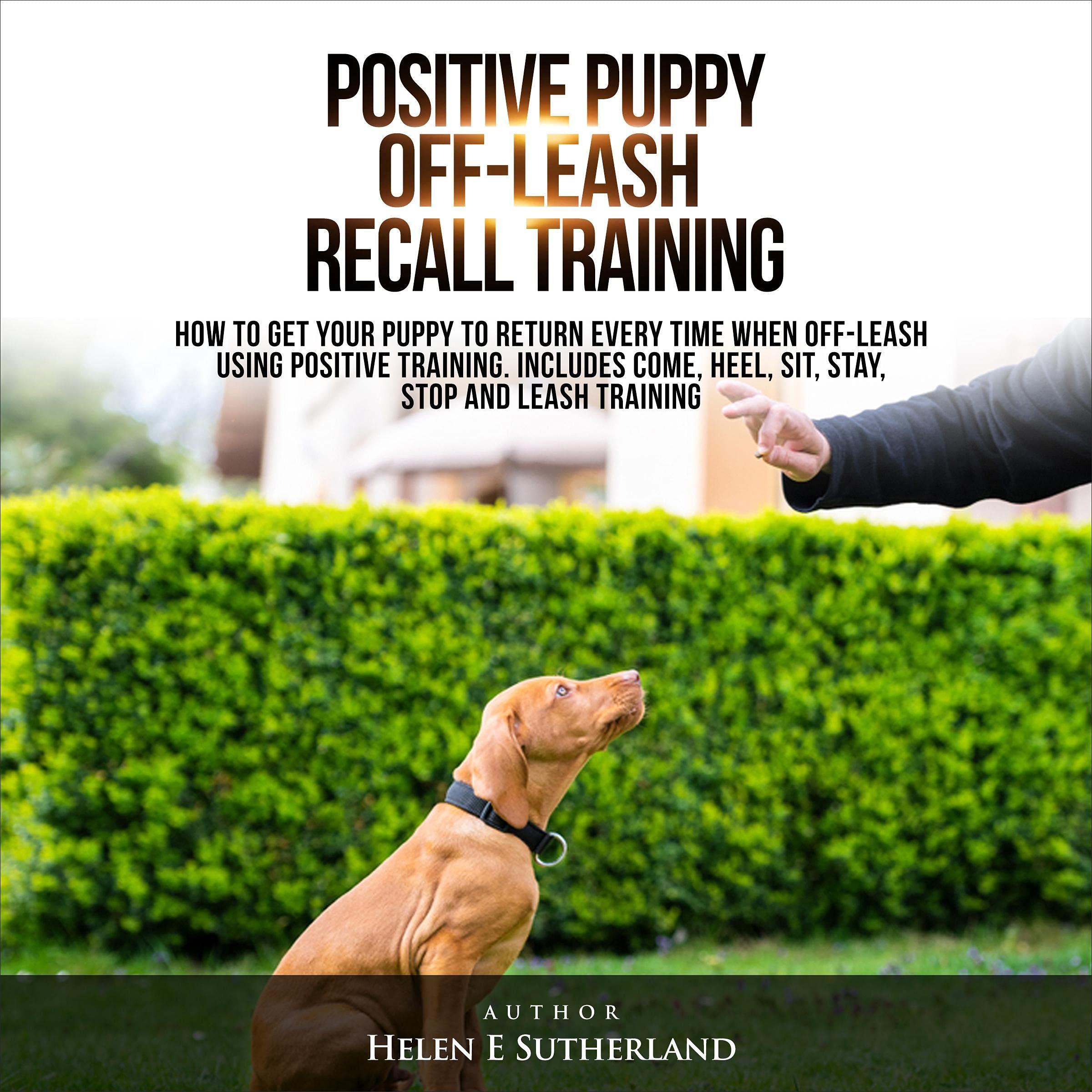 Cover art for Positive Puppy Off-Leash Recall Training