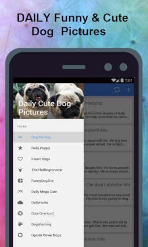 Daily Cute & Funny Dog Pictures