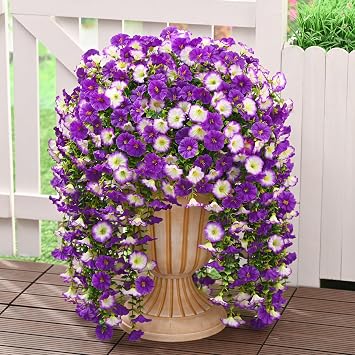 Dolicer 2 Packs Look Real Artificial Flowers for Outdoors, Fake Artificial Hanging Flowers for Outdoors Realistic UV Resistant Hanging Flowers Silk Petunia Faux Flowers for Porch Patio Mixed Purple