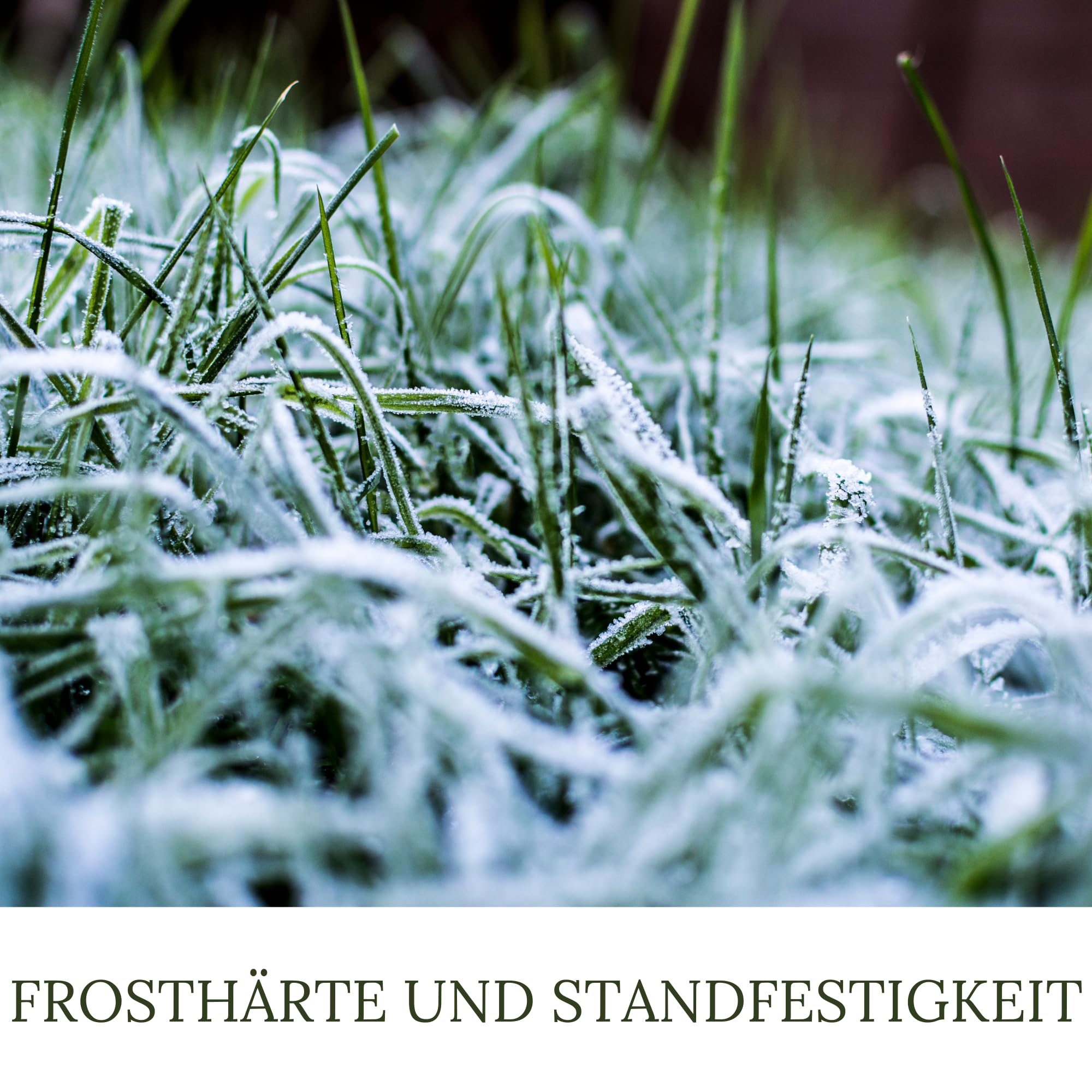 30kg (3 x 10kg) HaGaFe Herbstrasendünger, Herbst - Rasendünger, Dünger, Kaliumdünger für Frosthärte und Standfestigkeit, gut streuwagenfähig, gegen Krankheiten und Schädlinge