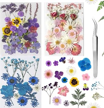 Dried Flowers Dried Flower Real Dried Pressed Flowers for Jewelry Candle Card Making DIY Resin Ornaments Nail Art Flowers Decorations