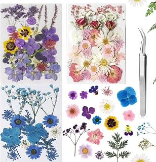 Dried Flowers Dried Flower Real Dried Pressed Flowers for Jewelry Candle Card Making DIY Resin Ornaments Nail Art Flowers Decorations