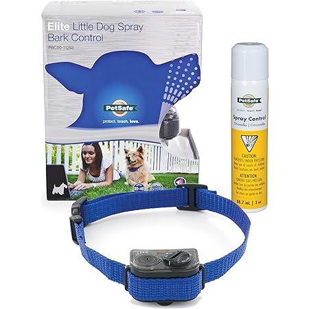 first alert dog bark