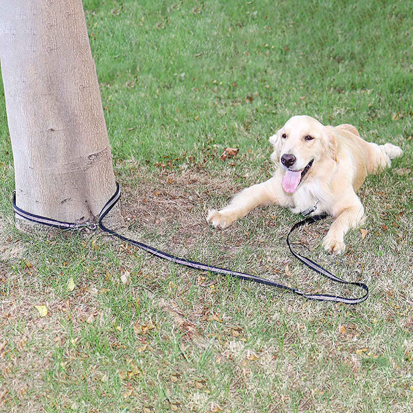 Guinzaglio per Cani Guinzaglio per Cani in Corda di Nylon per Impieghi Gravosi Guinzaglio per Animali Domestici da 9,8 Piedi con Filo Riflettente Guinzaglio Spesso