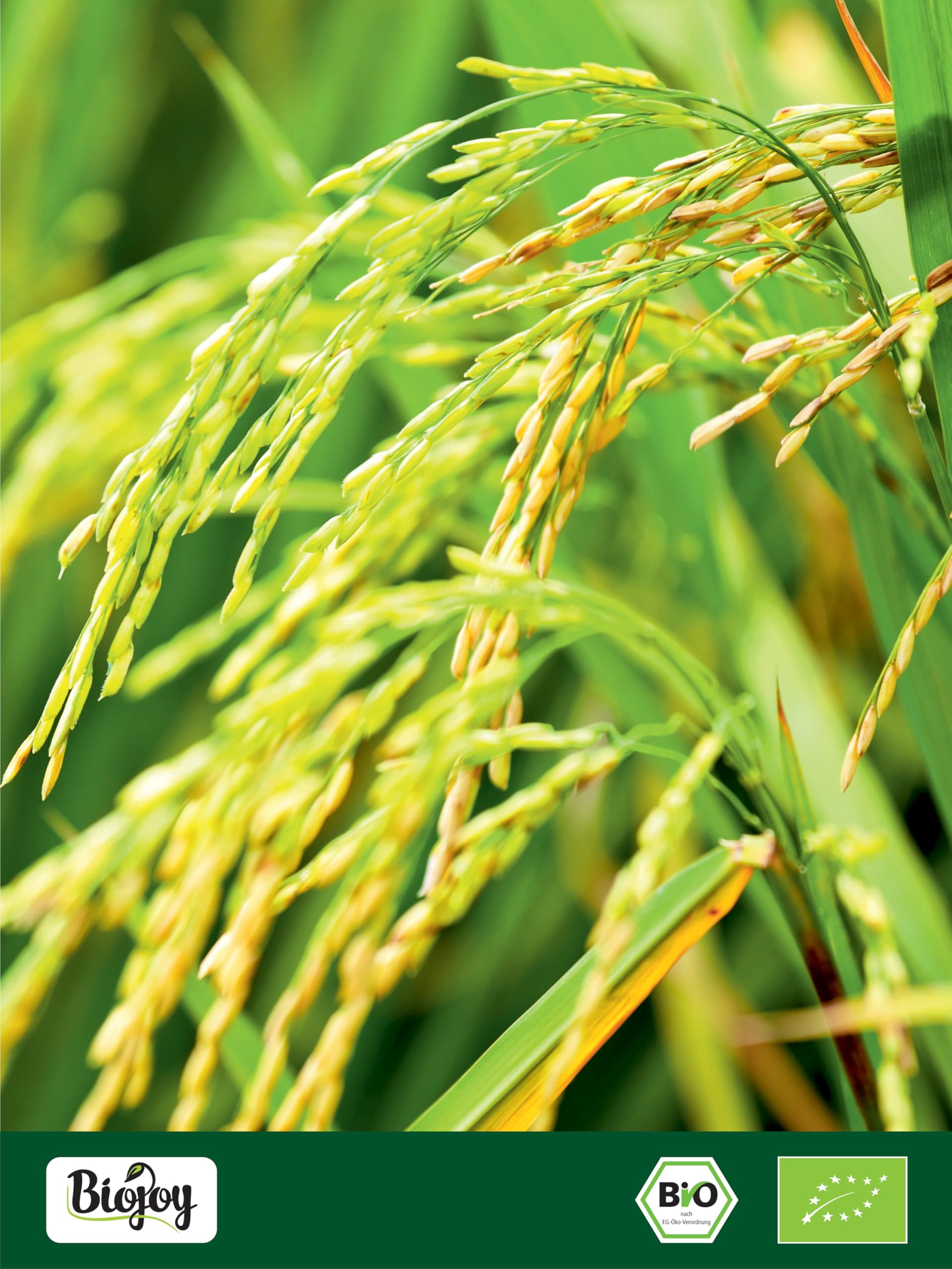 Biojoy Organiczne Białko ryżowe w proszku (1 kg), 85% białka, bez dodatków (Oryza sativa L.)