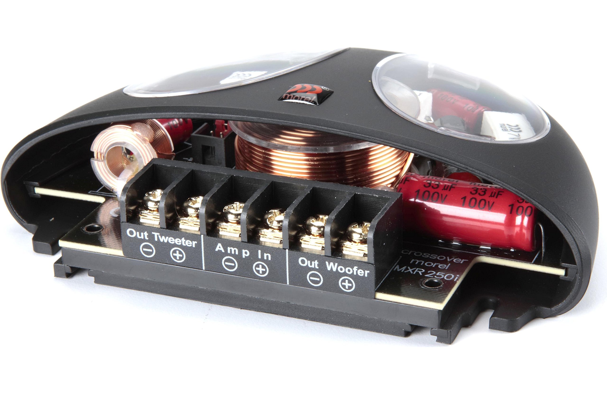 Amazon.co.jp: Morel Hybrid Integra 402 4インチ 2ウェイカー