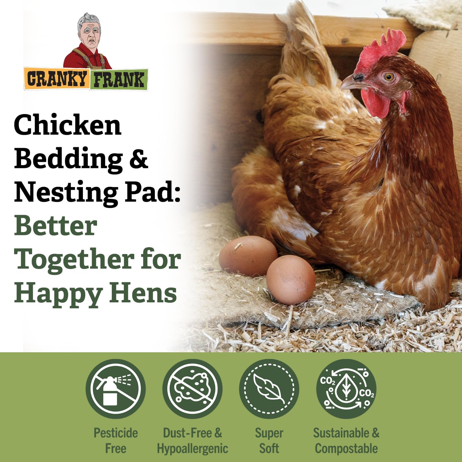 【おまとめ】【Bedtime】【Feeding the chickens】他２点 5+ Thousand Child Feeding Chickens Royalty-Free Images
