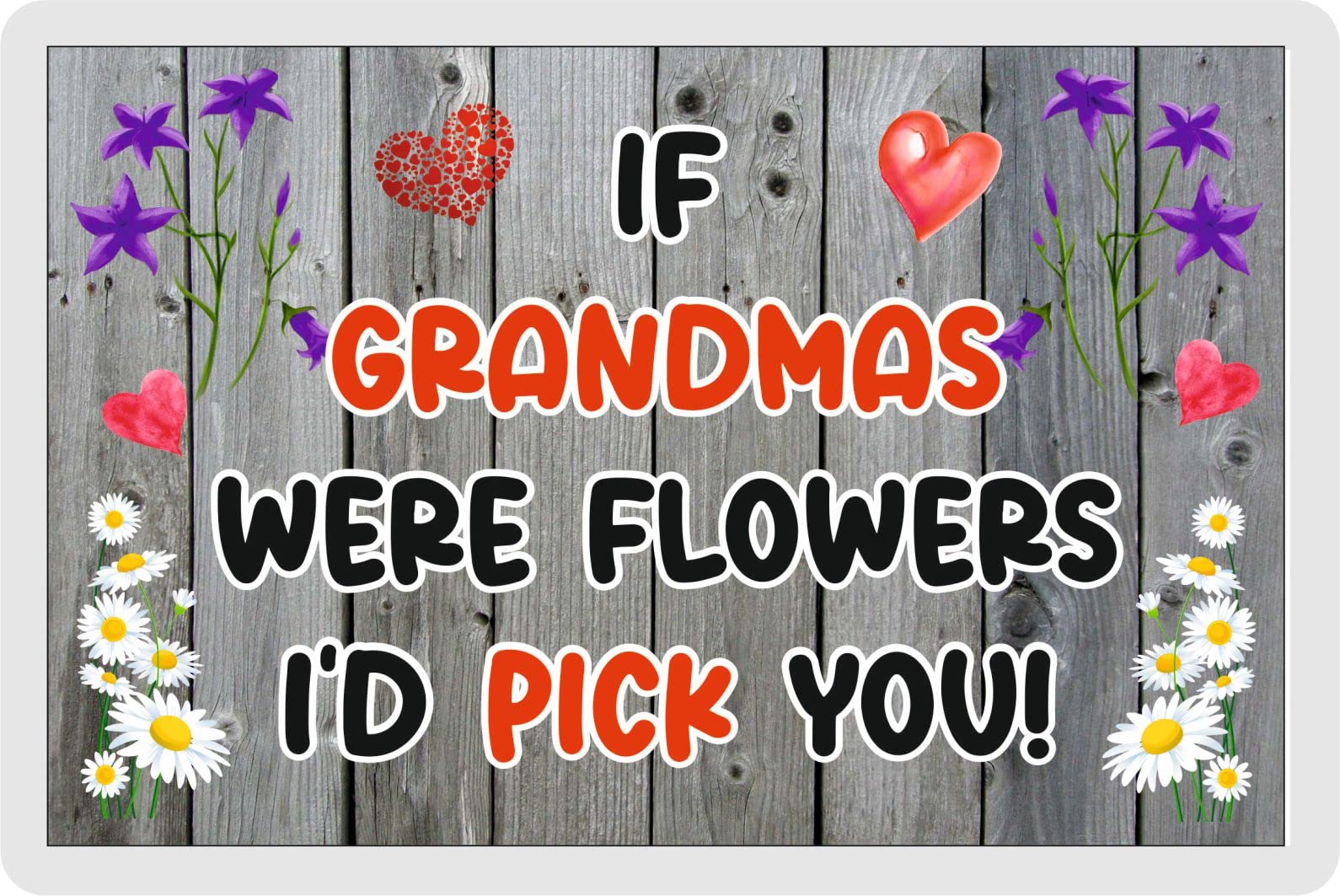Decalarama Grandma Fridge Magnet – If Grandmas Were Flowers I'd Pick You – Fun Family Novelty Birthday Gift