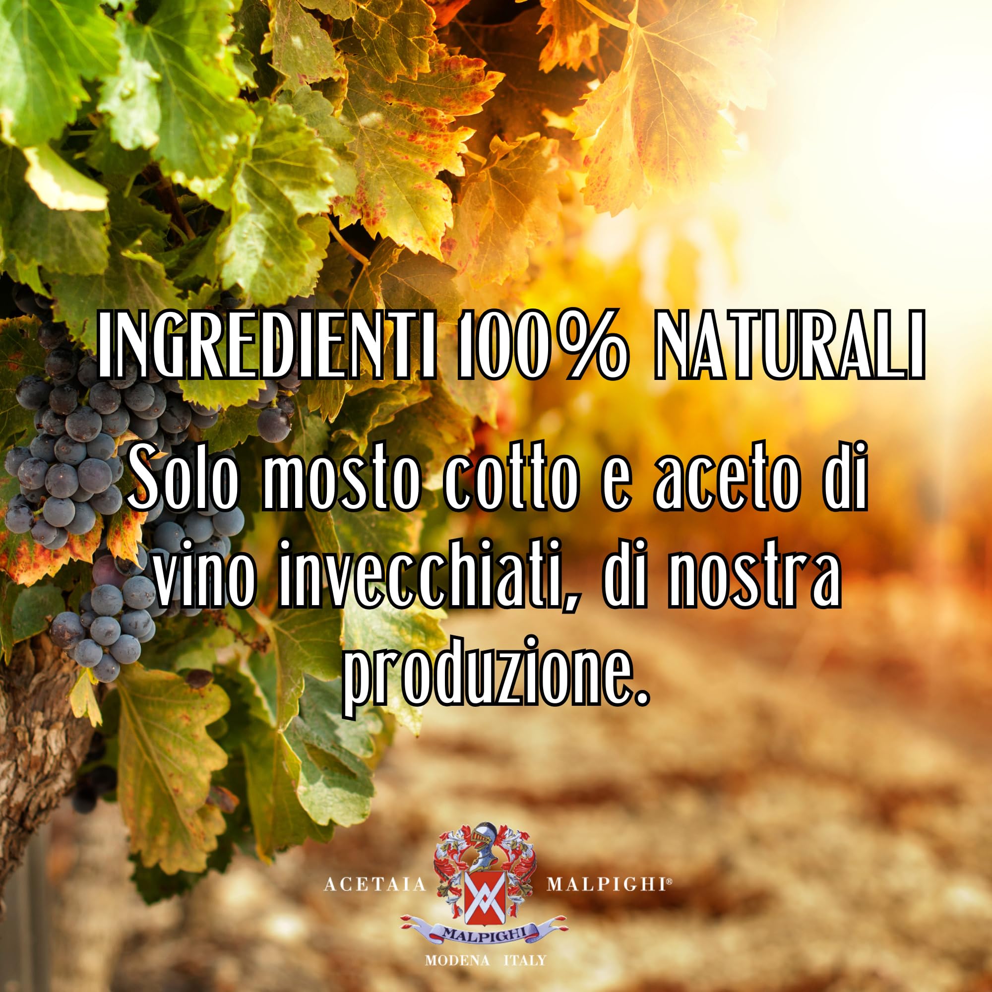 Acetaia Malpighi – Aceto Balsamico di Modena IGP Invecchiato – 250 ml – 100% Naturale Senza Caramello – Da Uve Tardive