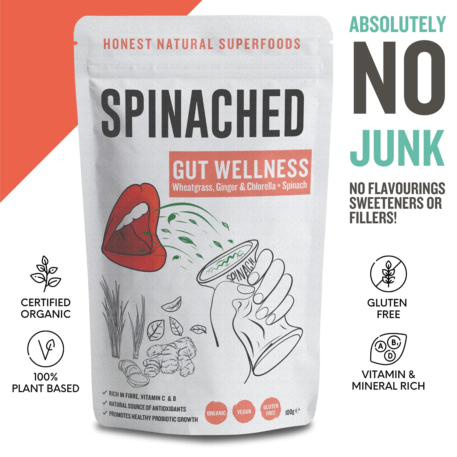 SPINACHED Gut Wellness Organic Spinach, Ginger, Wheatgrass, Chlorella Digestive Supplement