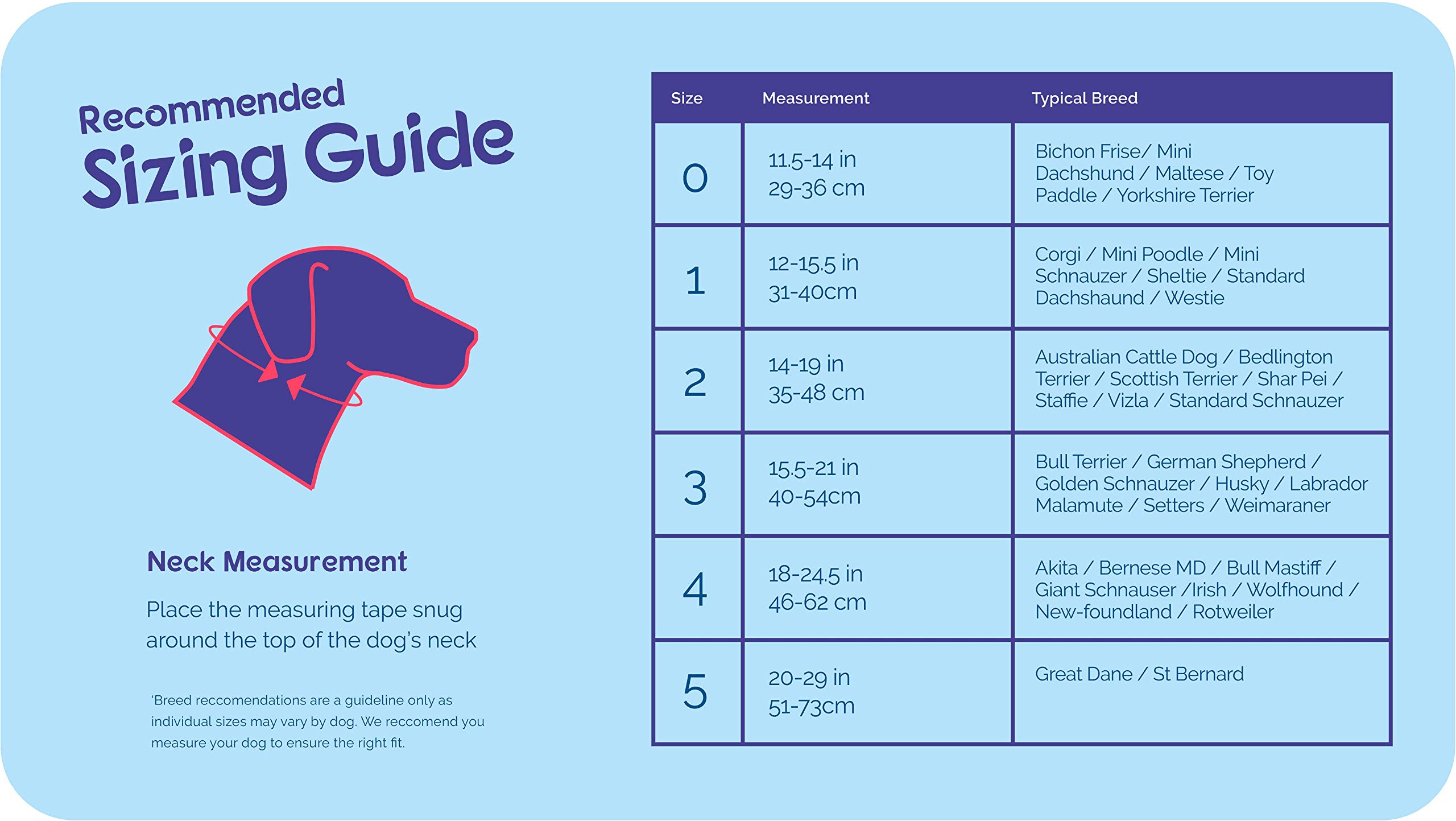 amazon halti harness