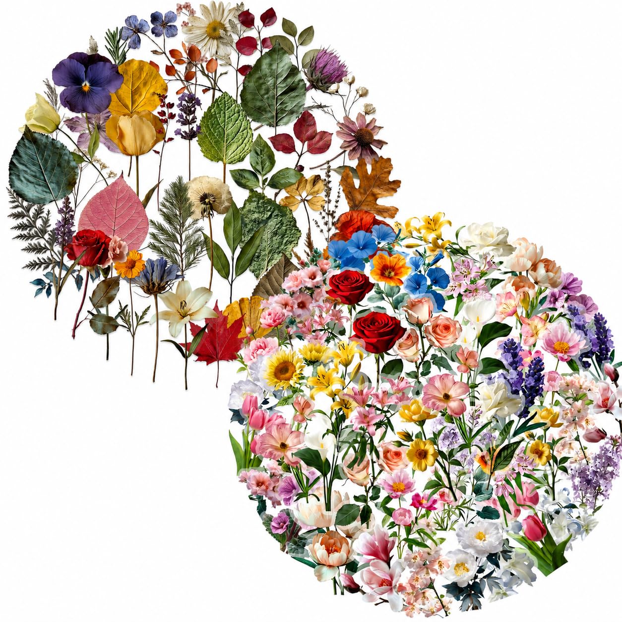 Botanical Stickers, 100-Piece Vintage Floral, Leaf and Foliage Craft Set