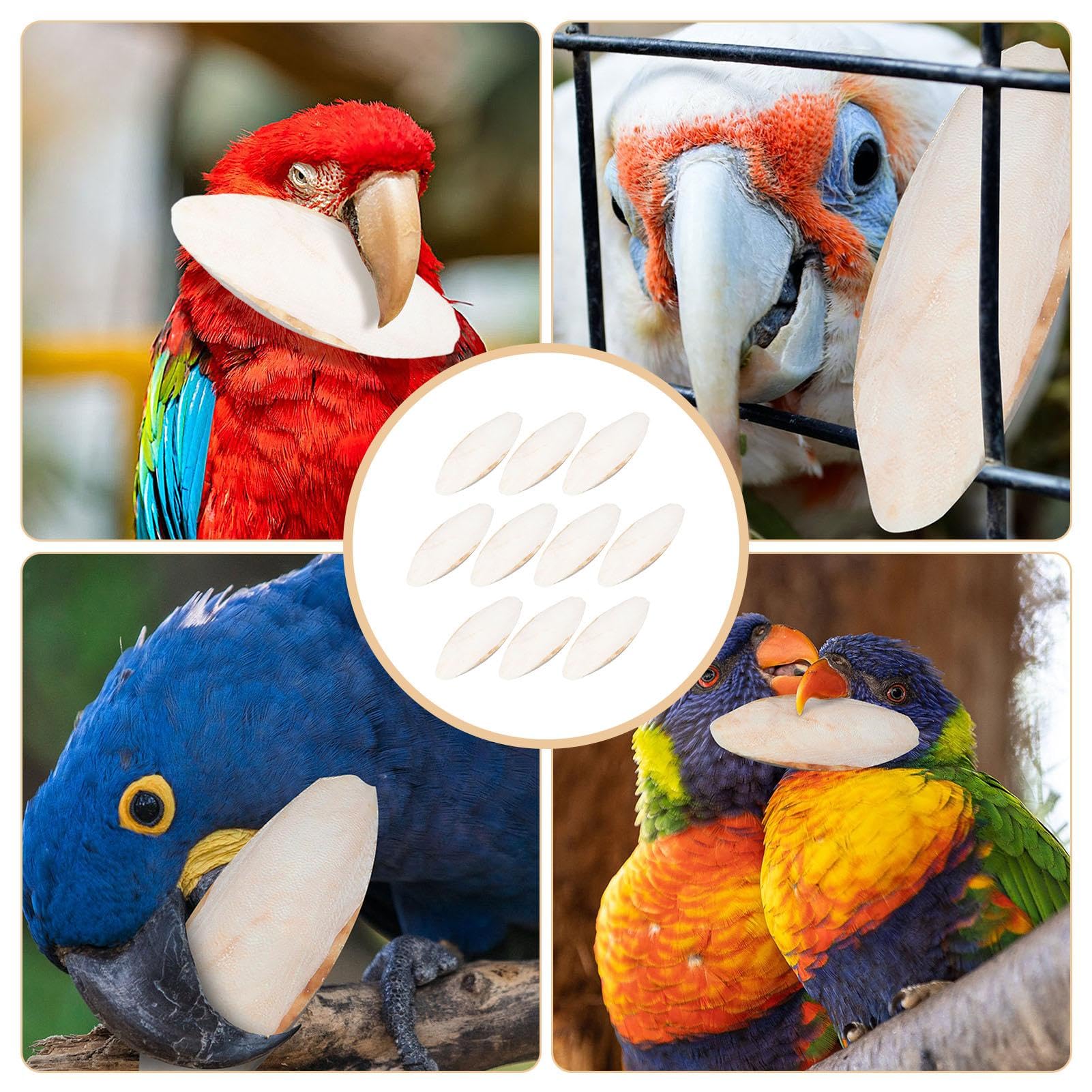 Exo Terra Sepia voor schildpadden - Onlineshop