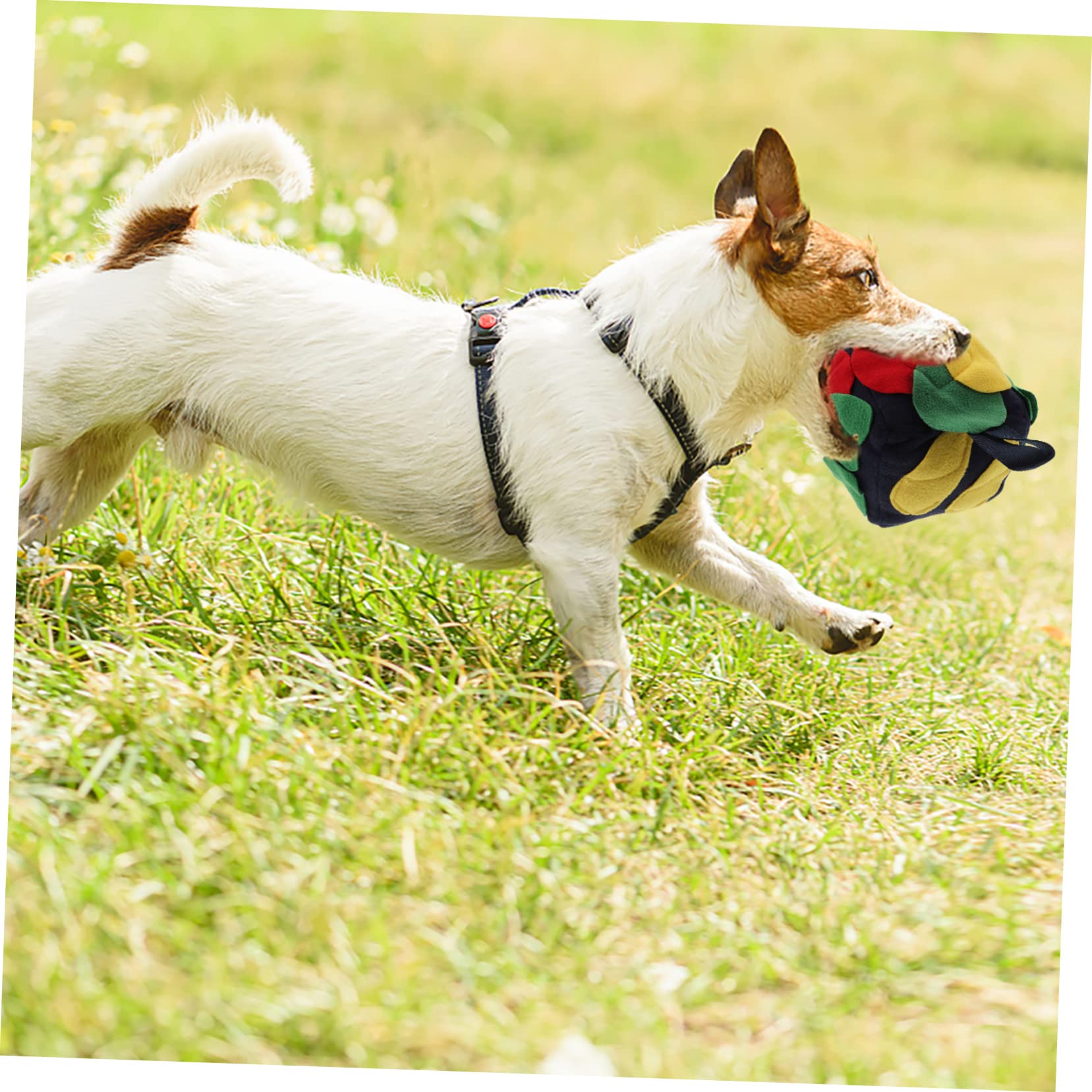 Didiseaon 2pezzi Palla Interattiva Per Cani Gioco Di Foraggiamento Con Tappetino Olfattivo Stimola Attività Mentale e Rallenta Ritmo Di Nutrizione Vintage