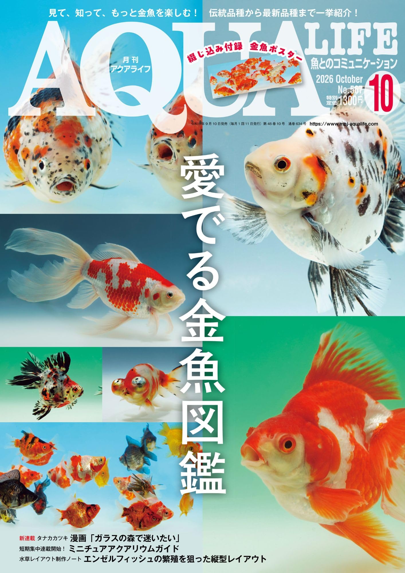 Amazon.co.jp: 月刊 AQUA LIFE (アクアライフ) 2026年 10月号: 納涼