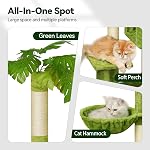 Meecal Arbre de chat vert pour les chatons sous 6 Mois 12lbs, 47" Tall pour les petits chats, Tour de la cage avec poste de scratching,1 Hammock & Double Condos, Jouets de danse, Tour de chat compacte mignonne pour les chatons