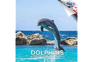 Witness the Magic of the Deep with the Enchanting 2024 2025 Dolphins Calendar
