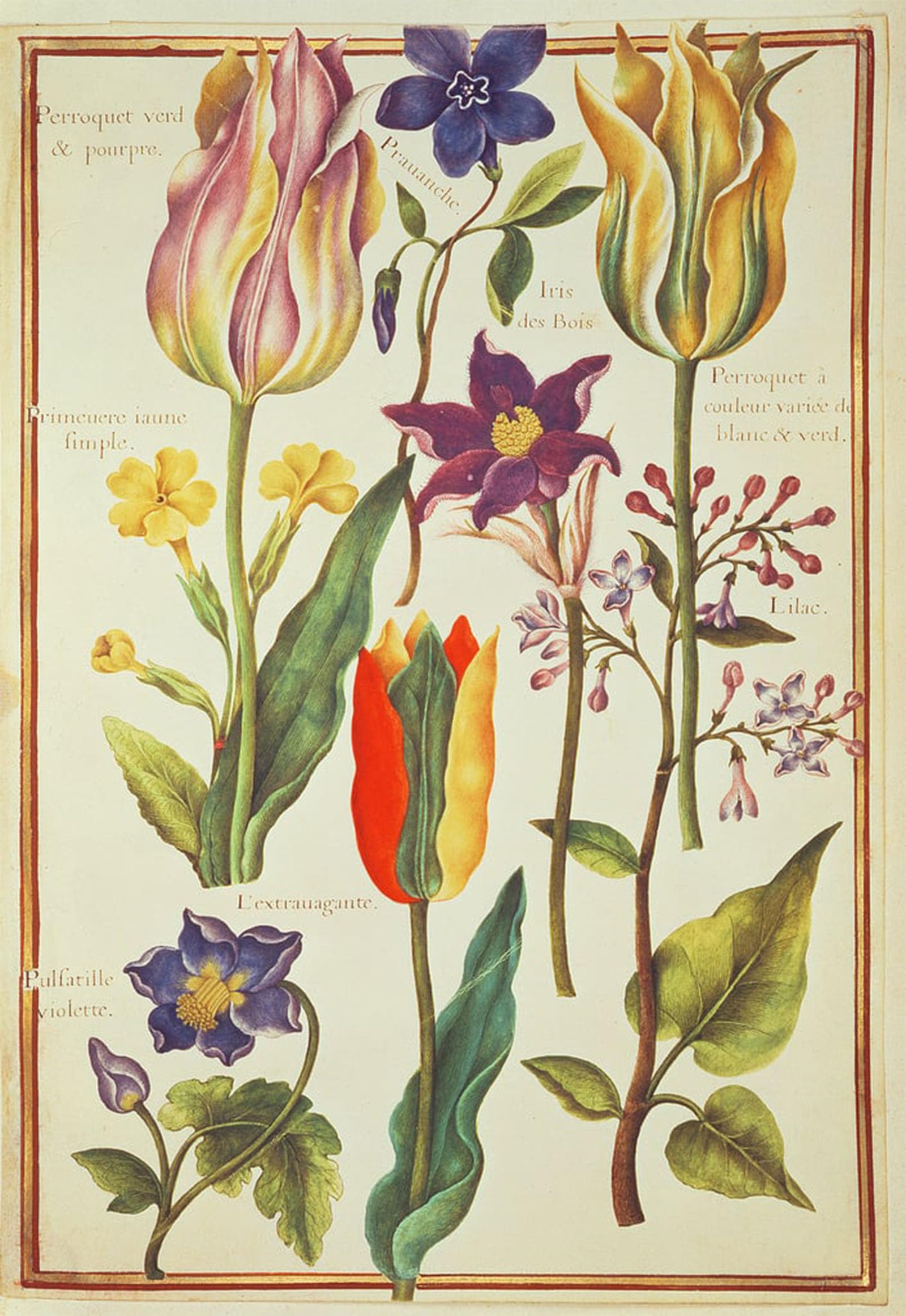 ARTXLXXBN Famous Painting Canvas Artwork Graffiti Print Flower Studies by Nicolas Robert Portrait Canvas Image for Home Decor 60x90cm