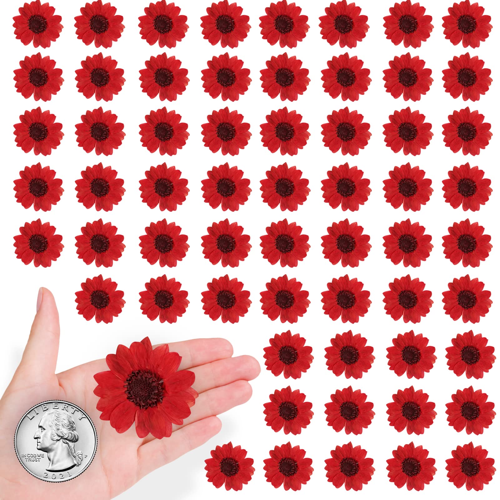 60 Stück natürliche kleine getrocknete Sonnenblumen für Harz, rote echte gepresste Sonnenblume trockene Sonnenblumen zum Basteln DIY Epoxidharz Form Schmuck Kerzen Scrapbooking Kartenherstellung Home