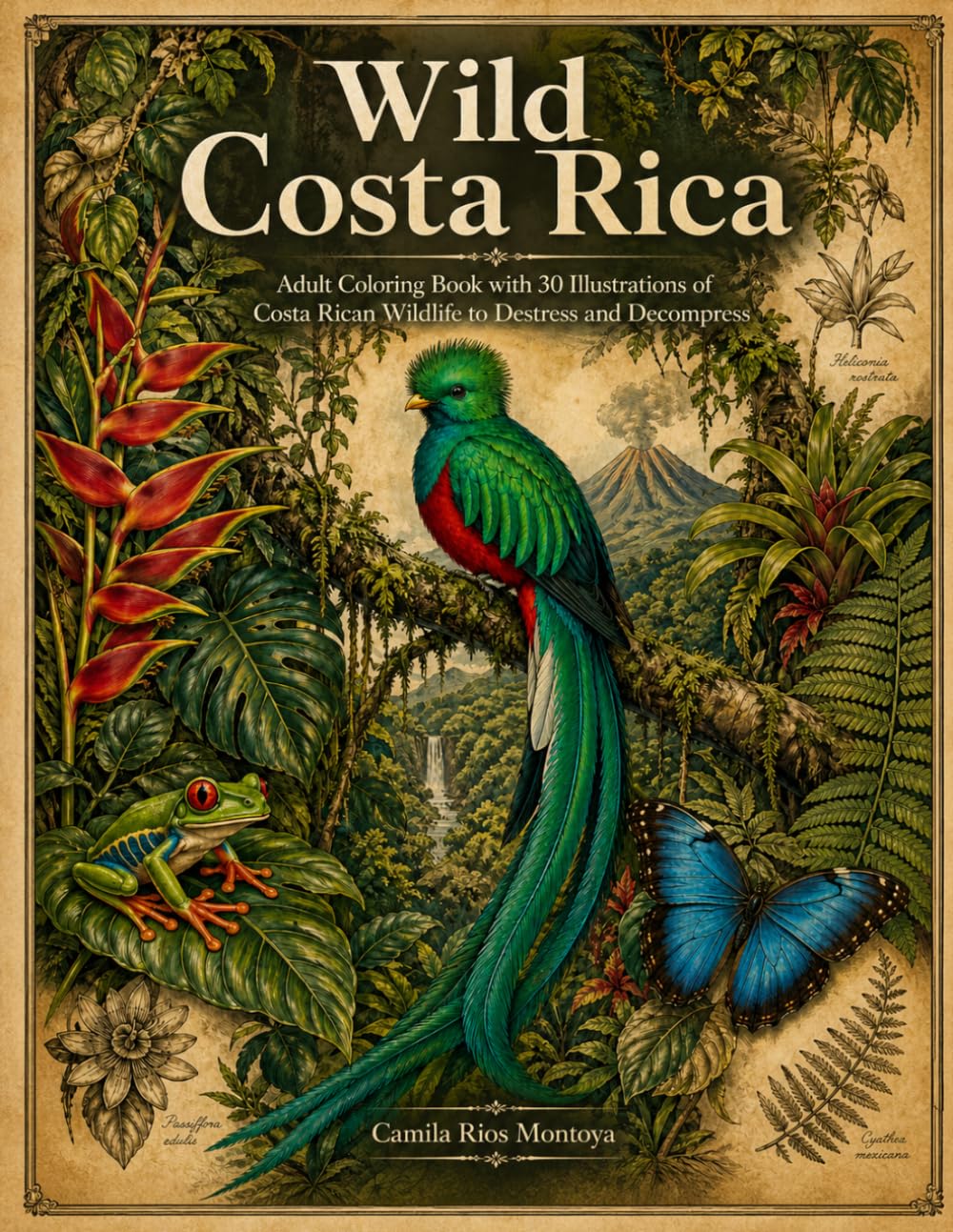 Wild Costa Rica: Volumen 1