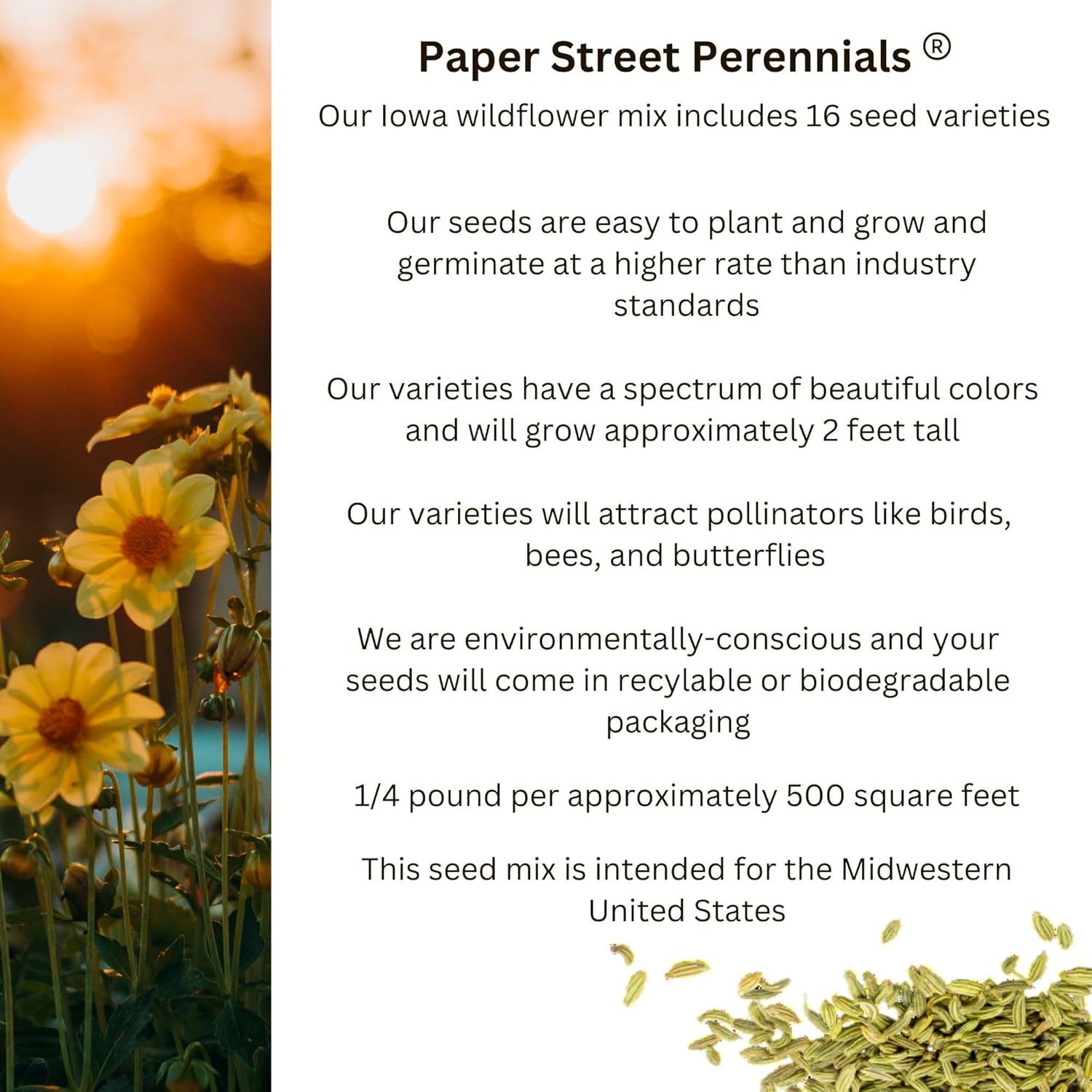 Iowa Bulk Perennial Wildflower Seed Mix 1lb Covers 2,000sq-ft - Attract Pollinators, Multi-Color Blooms - Midwest US Species Plant in Spring/Fall - Earth-Friendly Packaging (1/2 Pound)