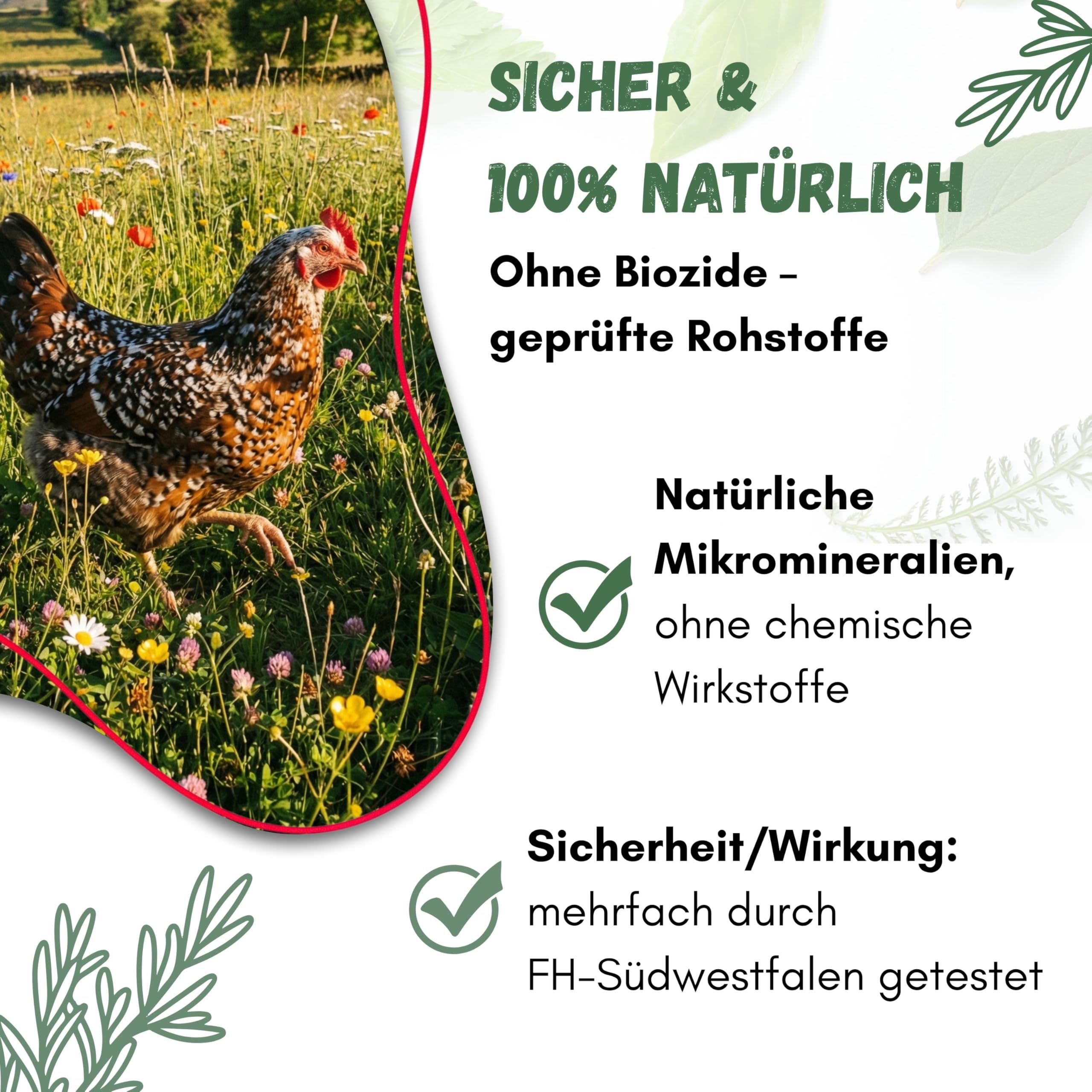 Starter Pack Mite Staubbad für Hühner 15kg - Sandbad Pulver gegen Milben, Milbenmittel Hühner, natürlicher Milbenschutz, Puder
