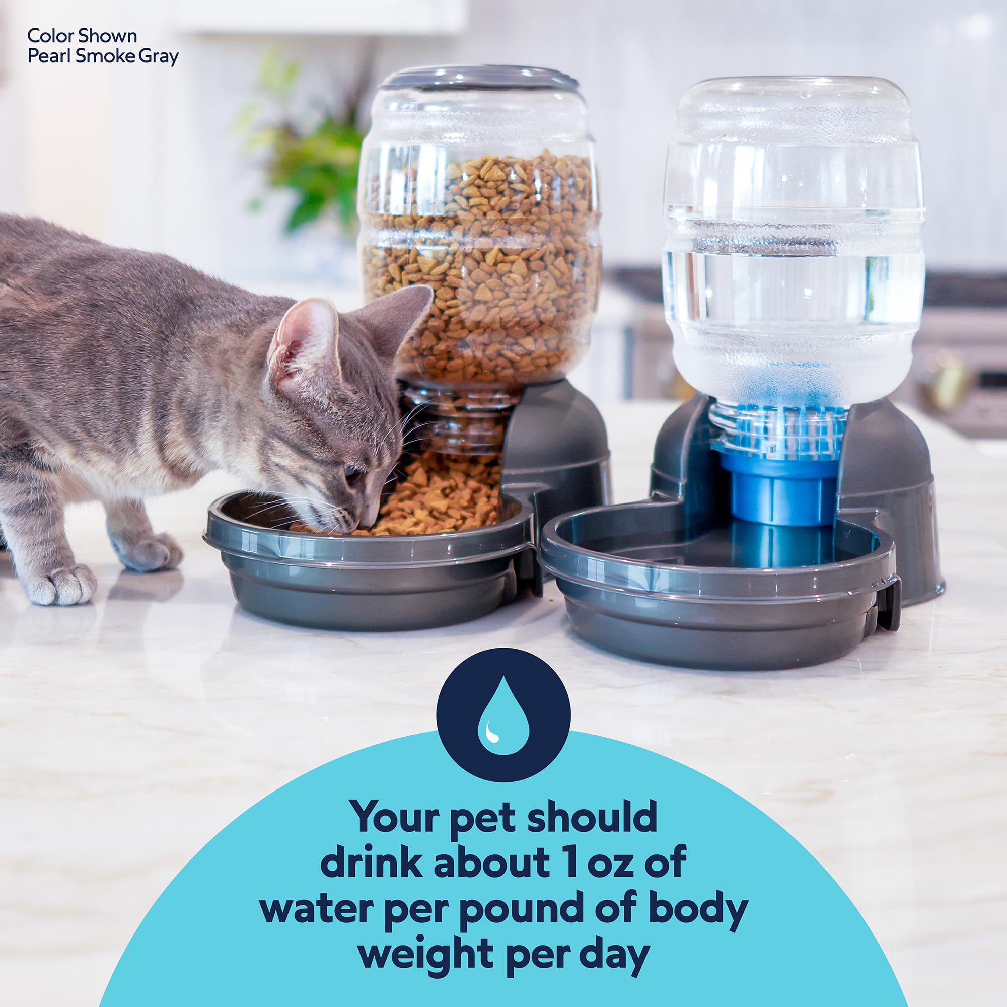 Petmate® Replendish® - Dispensador automático de Agua para Perros con protección antimicrobiana Microban, 100% Libre de BPA, 2.5 galones, Cuenco de Boca Ancha, con 2 filtros adicionales