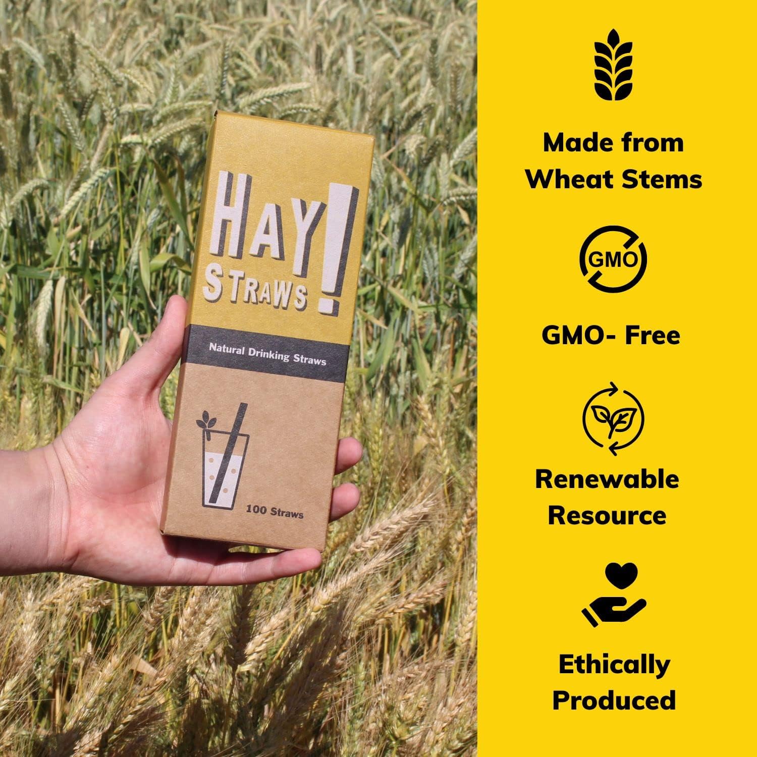 HAY! Straws® 7.75" Regular Drinking Straws | 500 ct 100% Plant-Based | Durable, Non-Soggy, Gluten-Free and Neutral-Taste | Eco-Friendly Alternative to Plastic and Bioplastic Straws