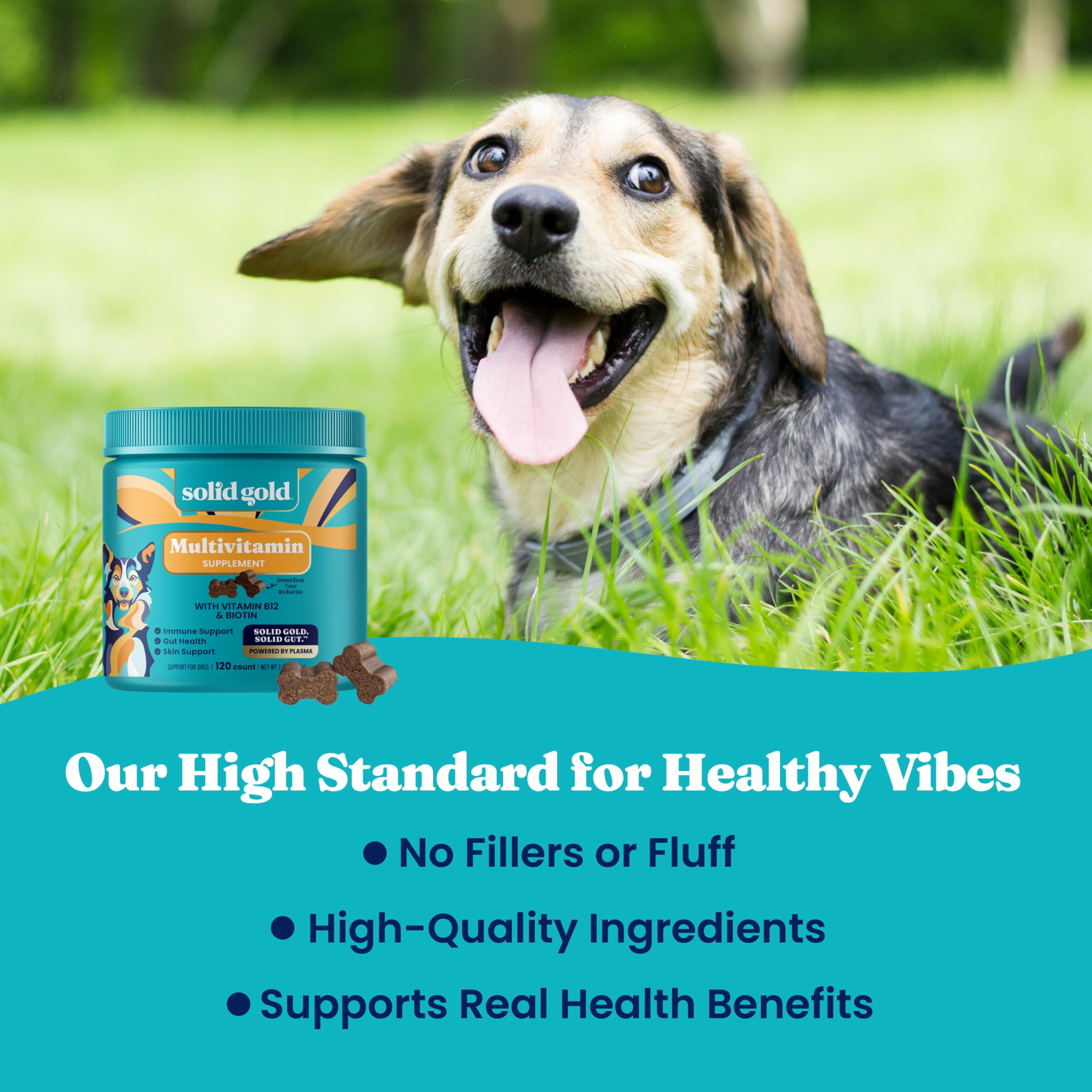 Solid Gold Dog Vitamins, Multivitamin Chews for Immune & Skin, 120ct — Amazon image 6