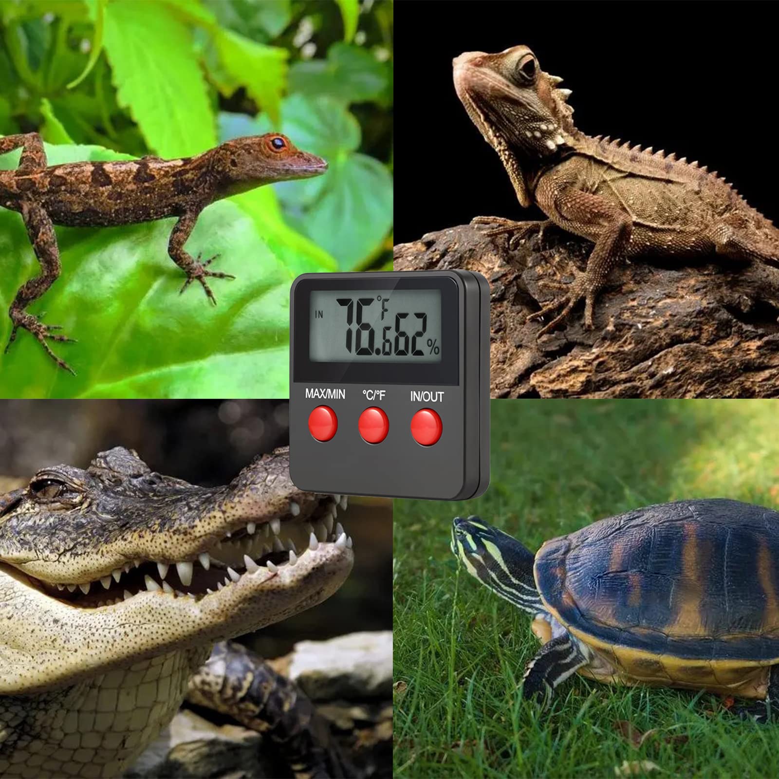 Misuratore Digitale GERUI Per Terrari - Termometro E Igrometro Per Rettili, 6x6 Cm - Foto 7