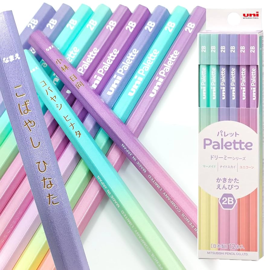 鉛筆だけで 楽天市場】ソニック うかサポ えんぴつチェック両面筆入 筆箱