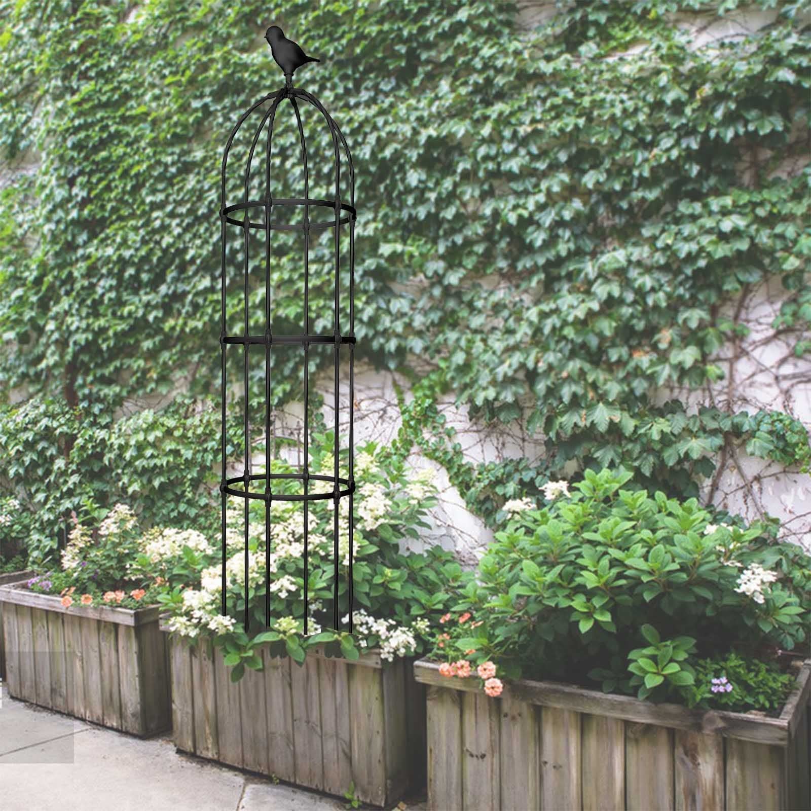 ステークス-トマト-枝-木-トマトの植物