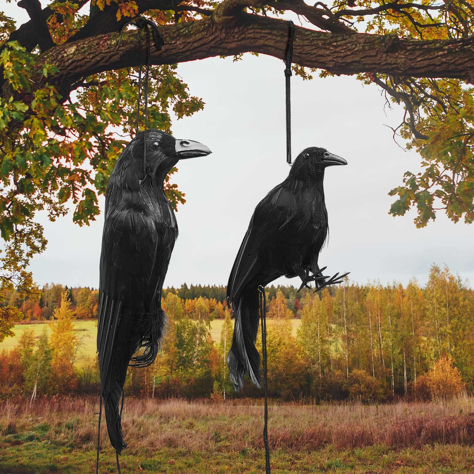 Lewtemi Pcs Realistic Hanging Dead Crows 17 Inches 12