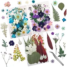 90 Pcs Real Dried Pressed Flowers and Leaves Natural Dried Petals for Candle Resin Jewelry Soap Nail Pendant Phone Case Crafts Making Floral Decors Scrapbooking DIYBlue, Purple, Pink, Green