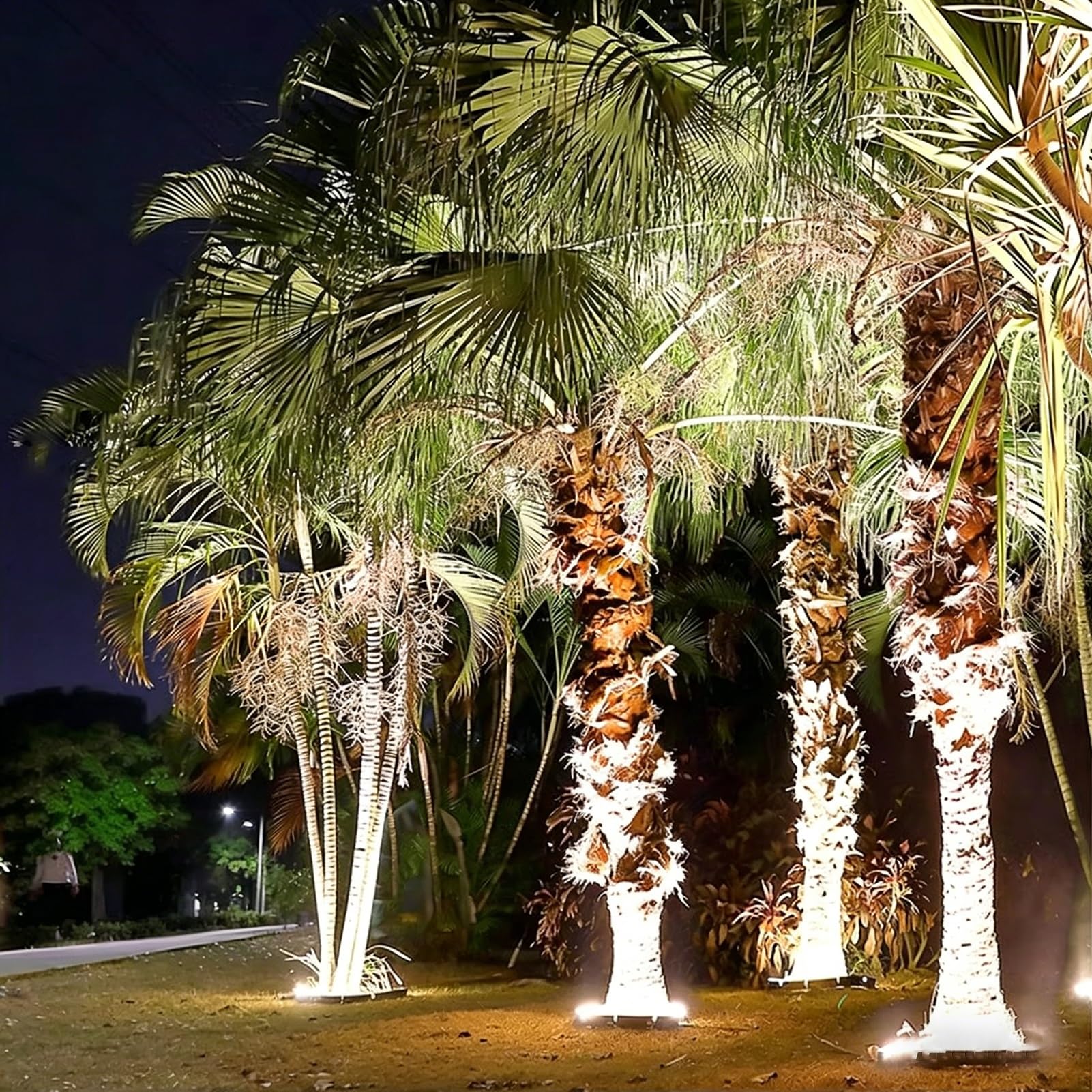 Luce per albero ad anello per esterni a LED, faretti paesaggistici | DC24V 12W Illuminazione Decorativa Della Palma Del Cortile Del Giardino, IP65 Resistente All'acqua(White light,7SETS 220V)