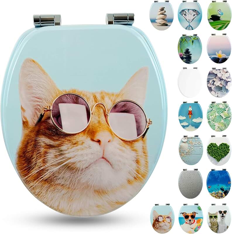 Amazon.co.uk fun toilet seat