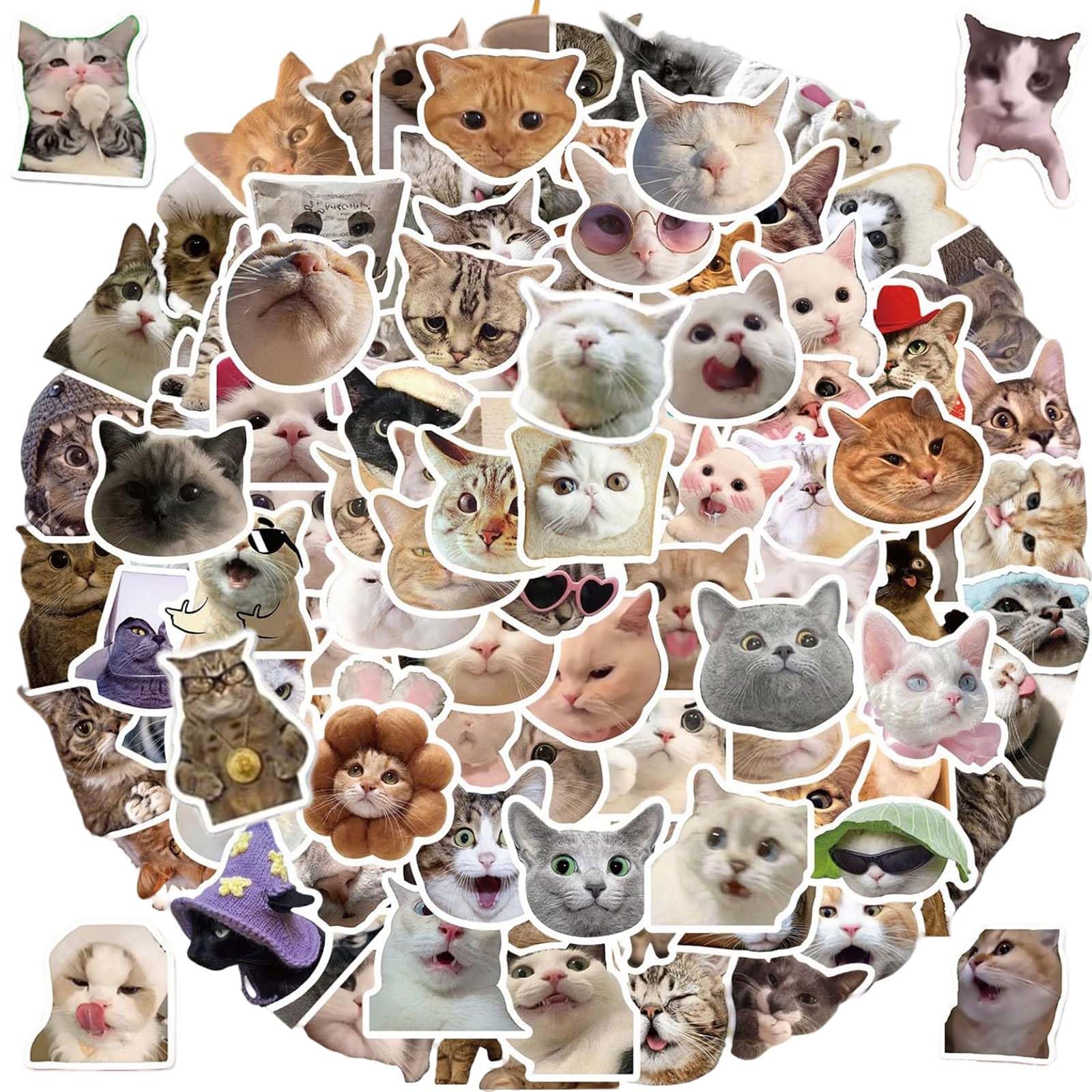 300Pcs Cat Stickers Funny Cat Stickers Set Fun Sticker Waterproof Vinyl