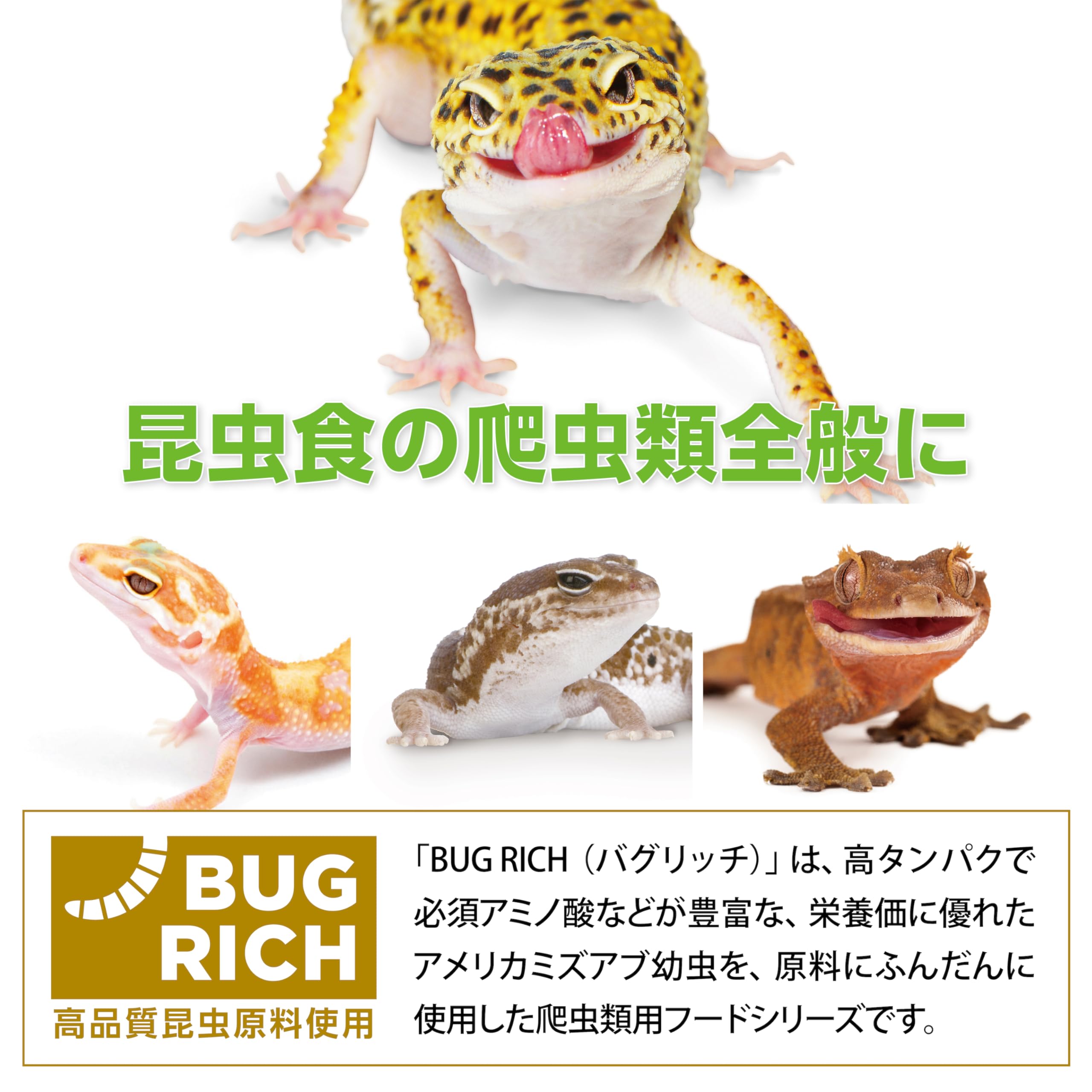 Amazon | エキゾテラ GEX EXOTERRA レオパブレンドフード業務用450g