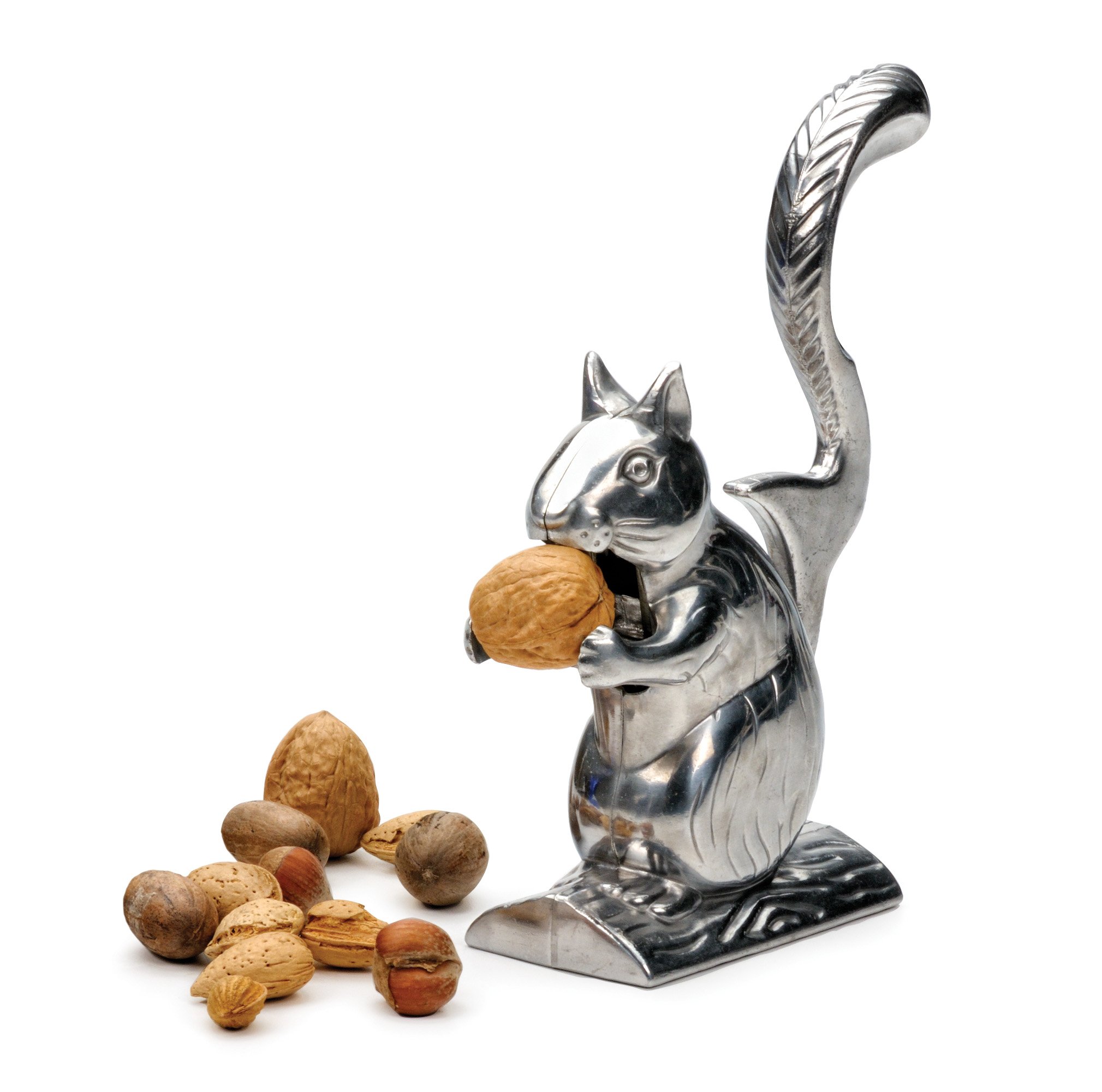 RSVP International (Nuts Nutty Squirrel Nutcracker, Stainless Steel | Adorable Novelty Addition to Your Kitchen | Cracks All Types of Nuts | Great Housewarming