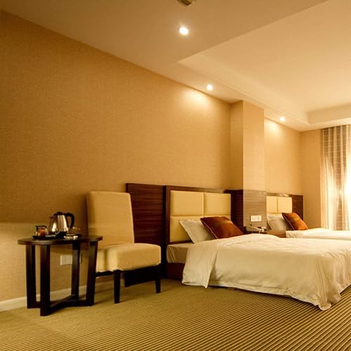 Miniatura 5 de Explux - Bombillas LED PAR20 de grado comercial, equivalente a 60 W, 650 lúmenes, regulables, de vidrio completo, resistentes a la intemperie,