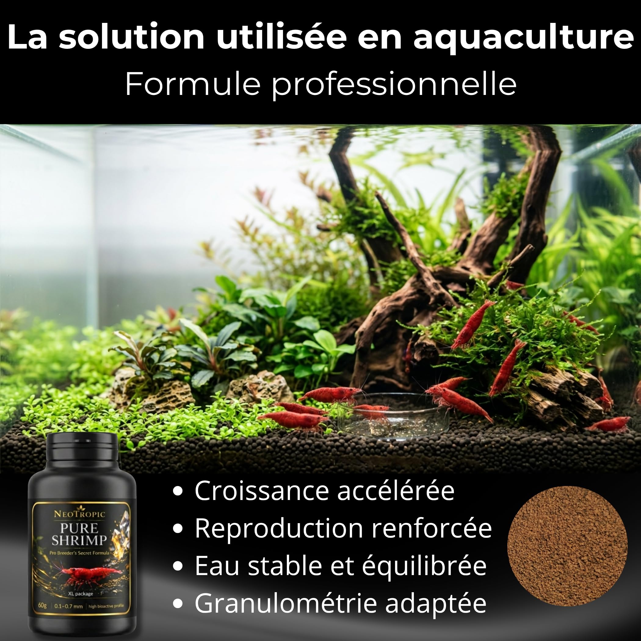 NEOTROPIC Pure Shrimp Pro Formula - Nourriture Crevettes Aquarium - Formule Aquaculture Française - Croissance Reproduction & Couleurs Intenses - Micro-granulés (60g)