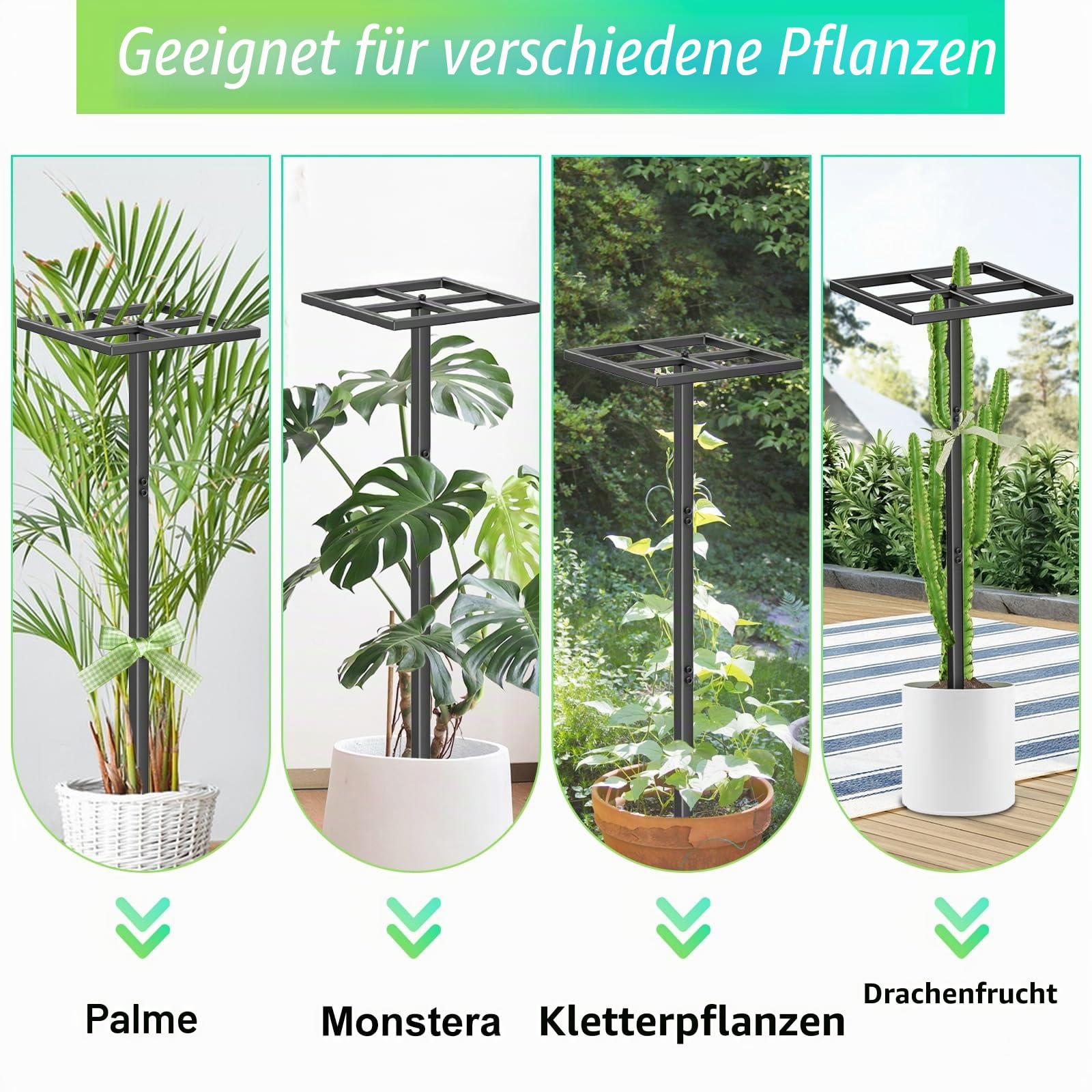 Metall Drachenfrucht-Gerüst,44" verstellbares Dragon Fruit Trellis