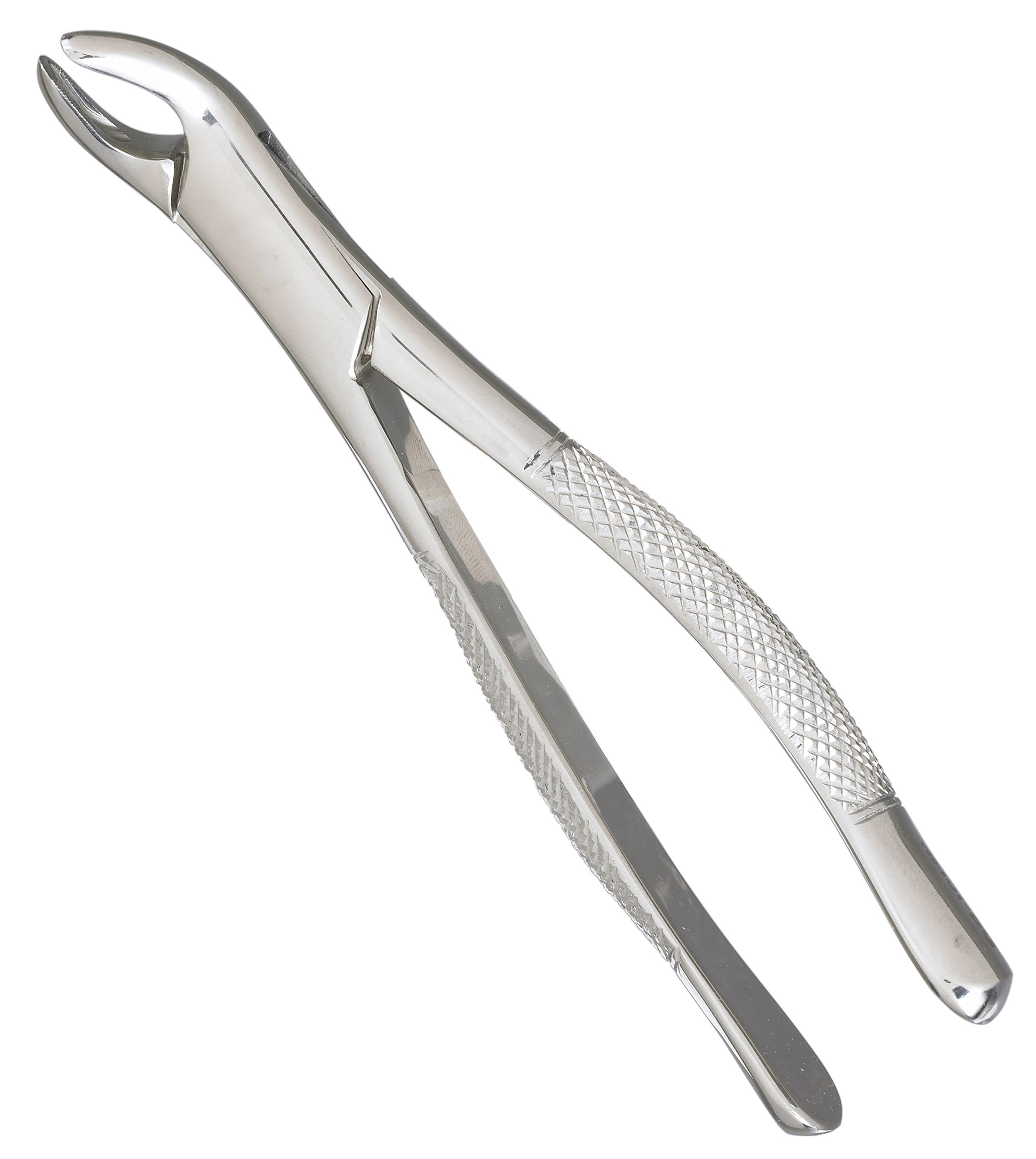 Surgicalonline Extracting Forceps 151 Lower Incisors Cuspids and Bicuspids and Roots Universal.
